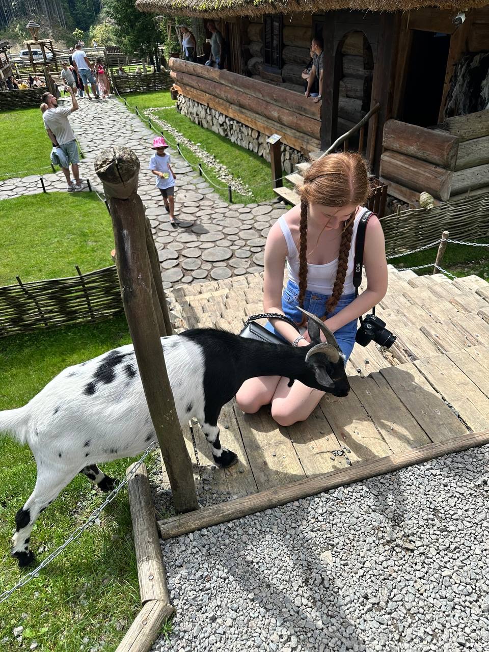 image-10
