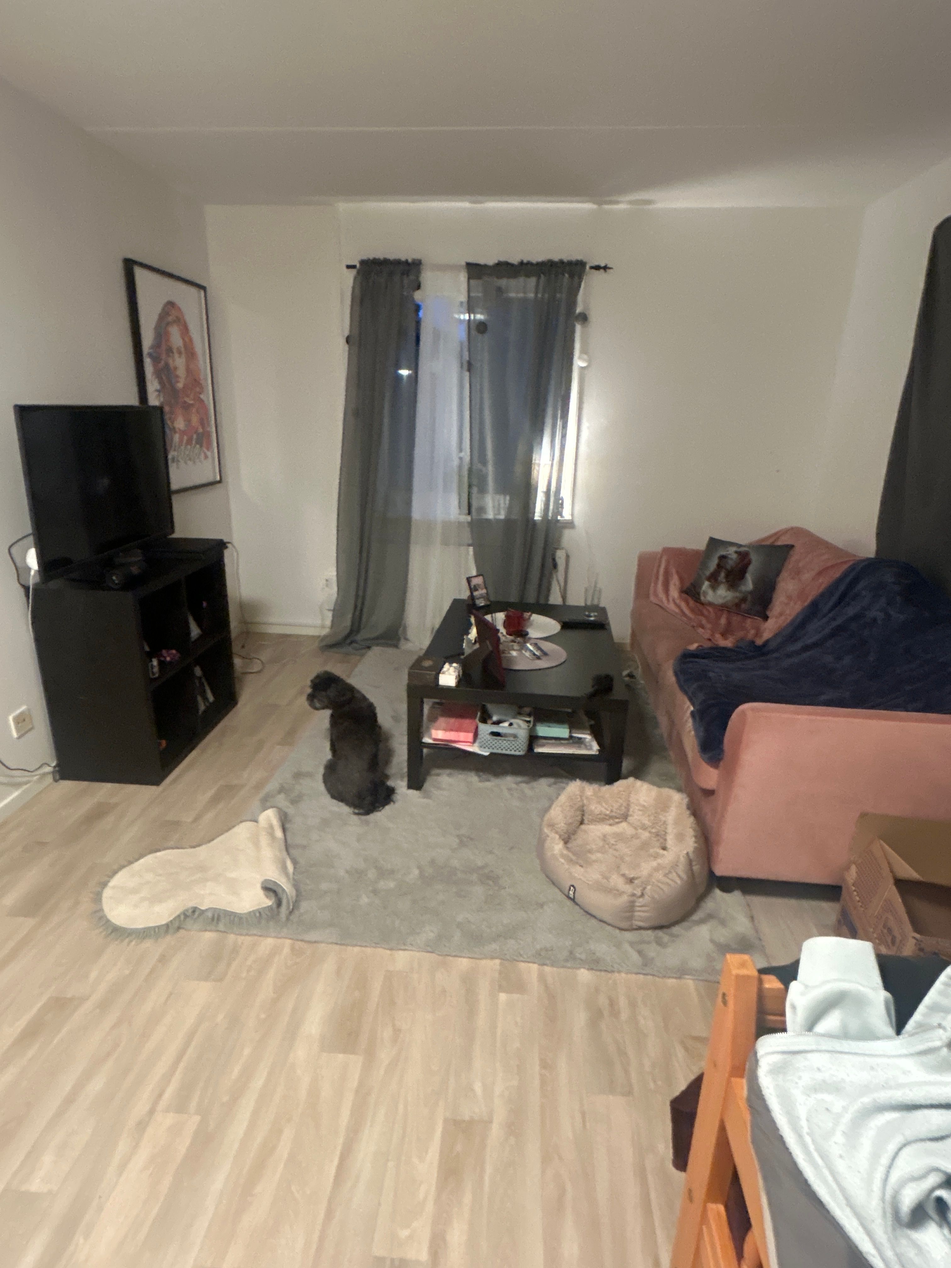 image-14