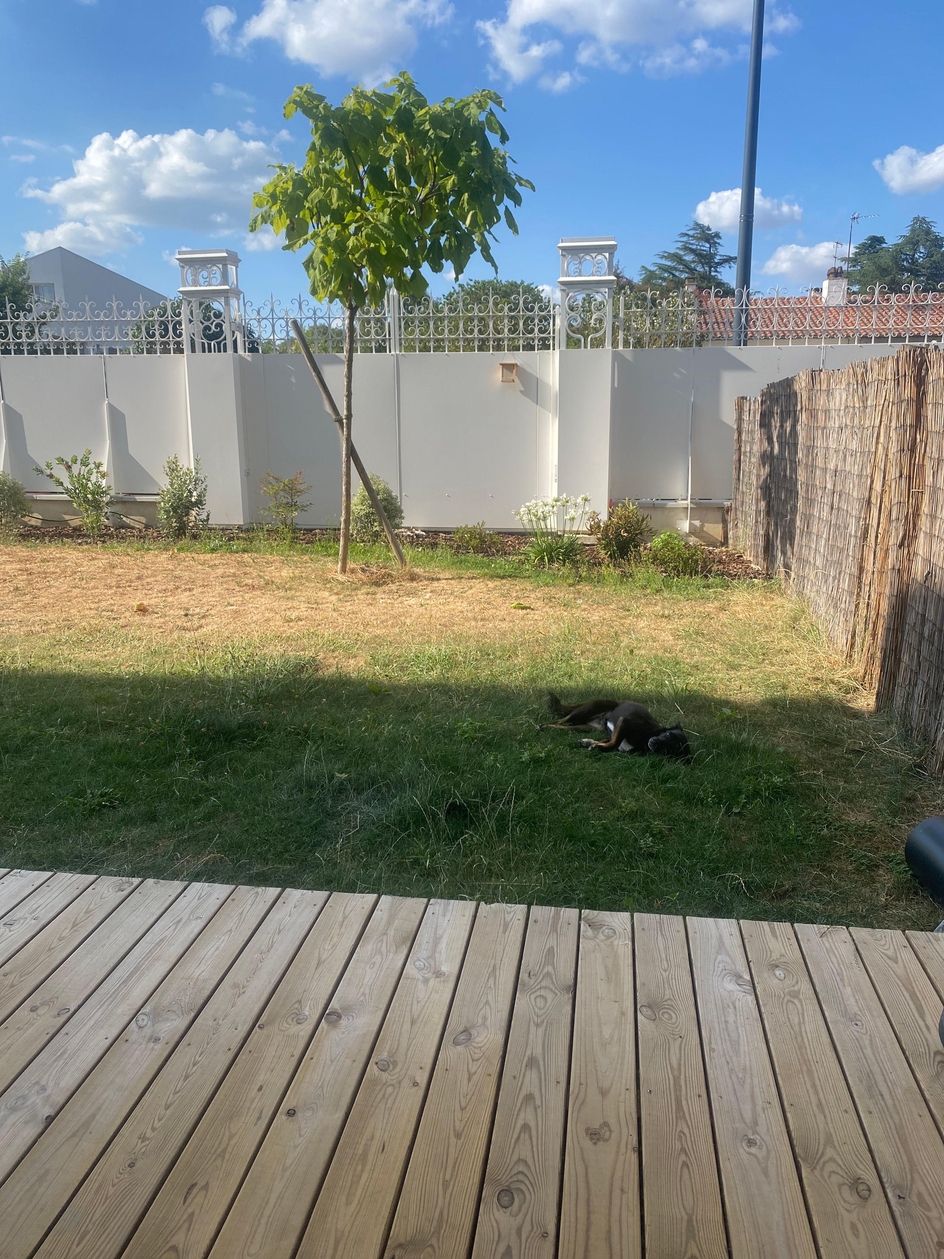 image-17