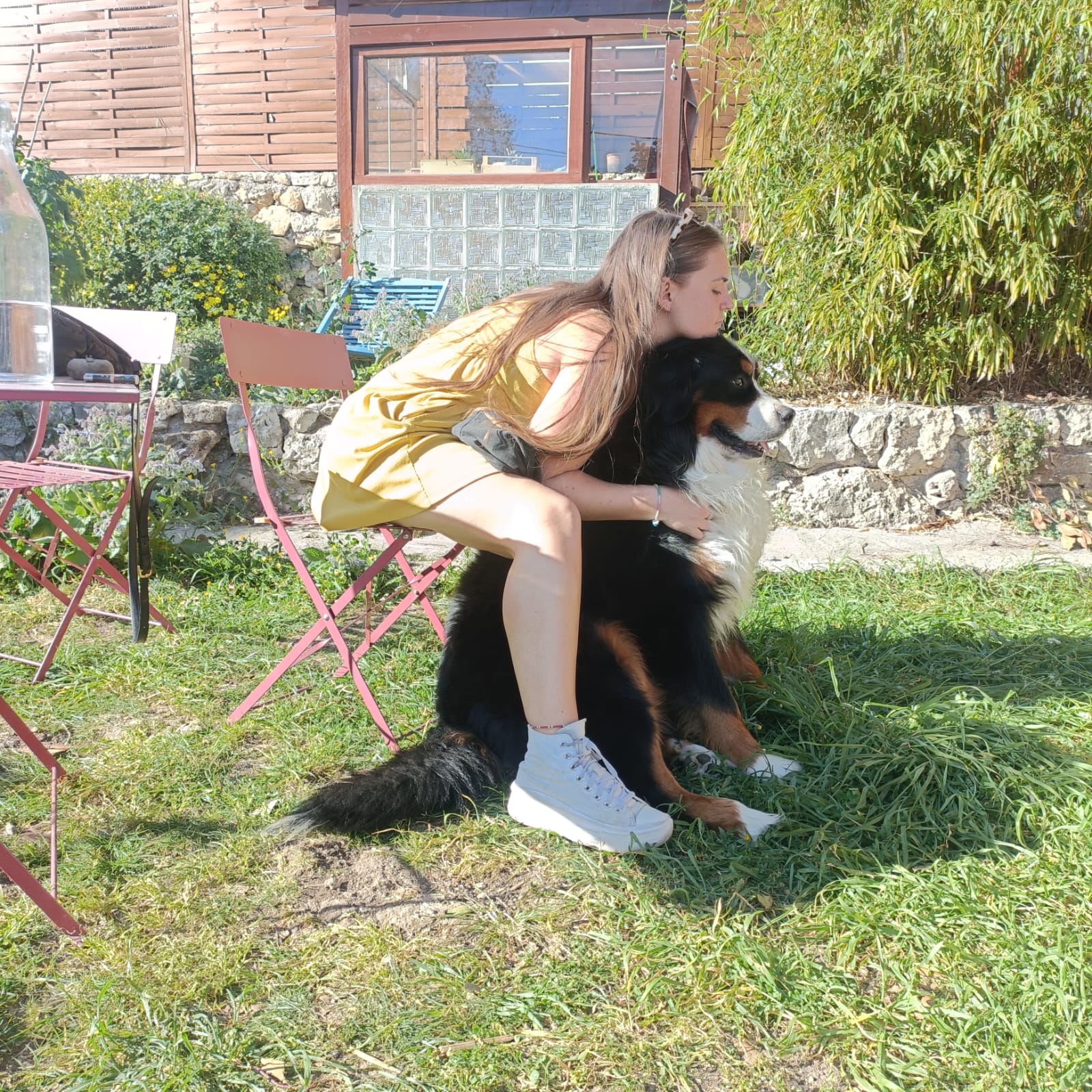 image-6
