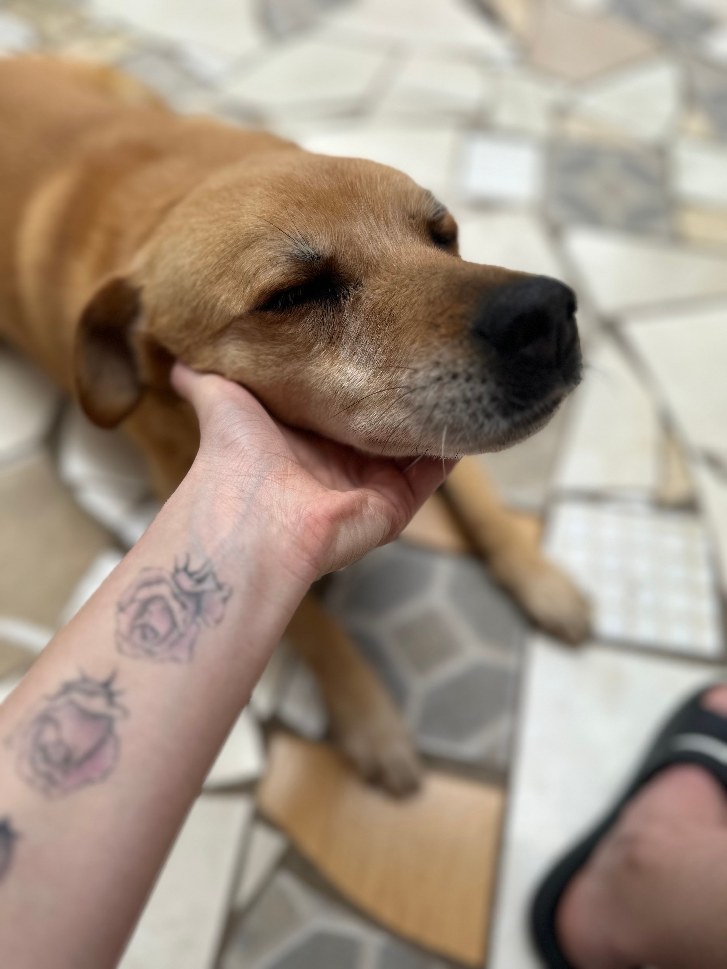 image-5