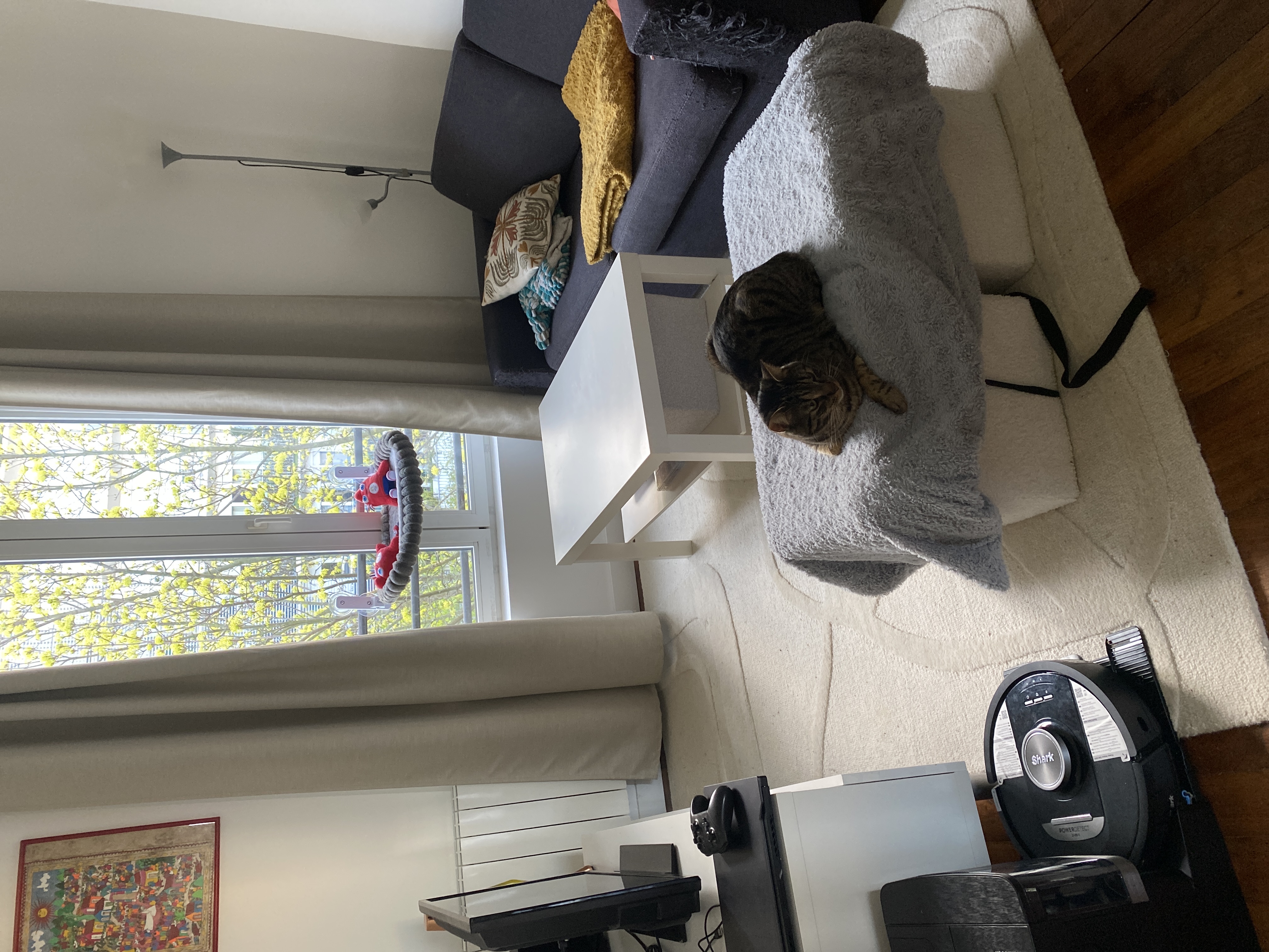image-16