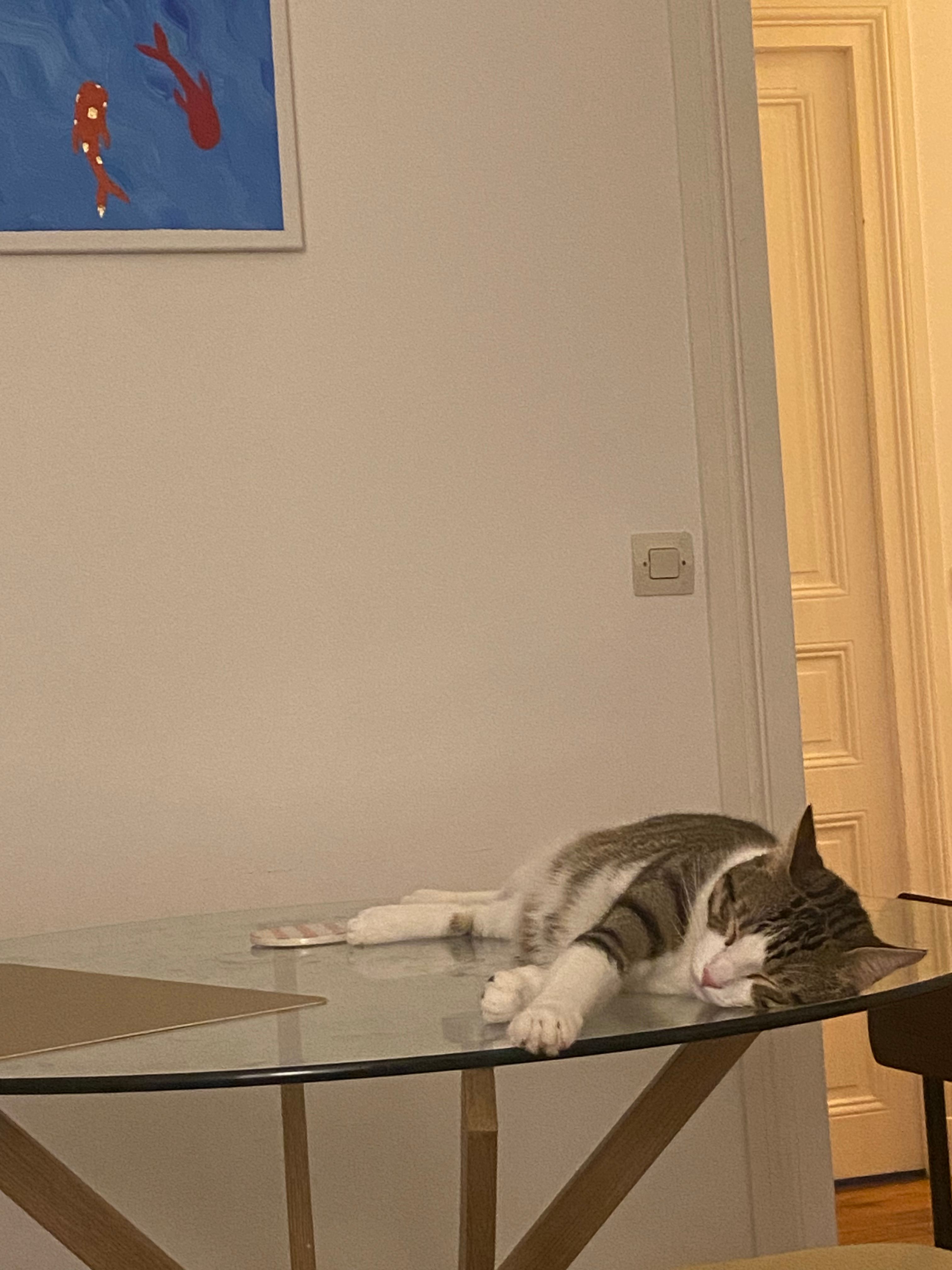 image-20