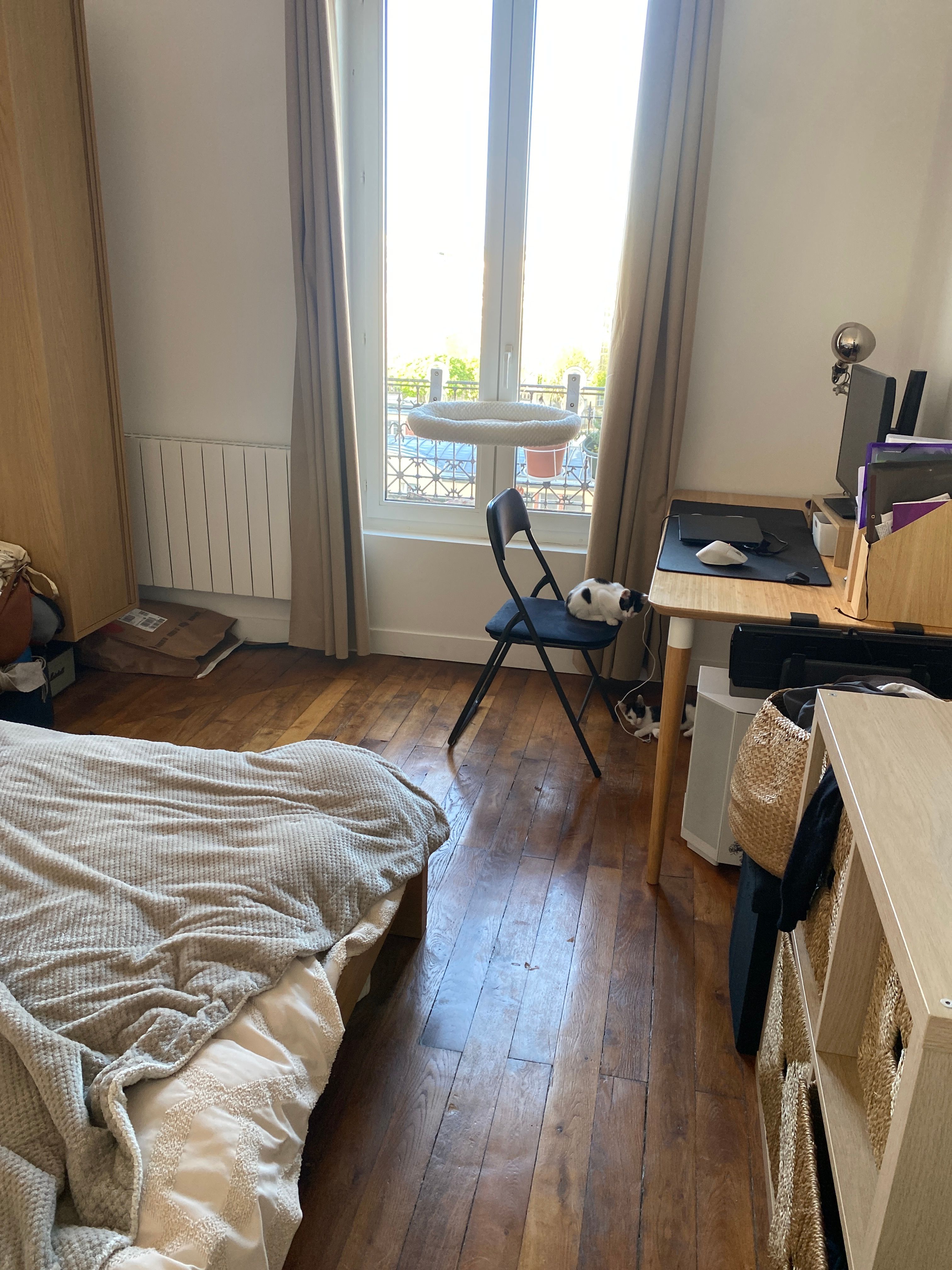 image-17