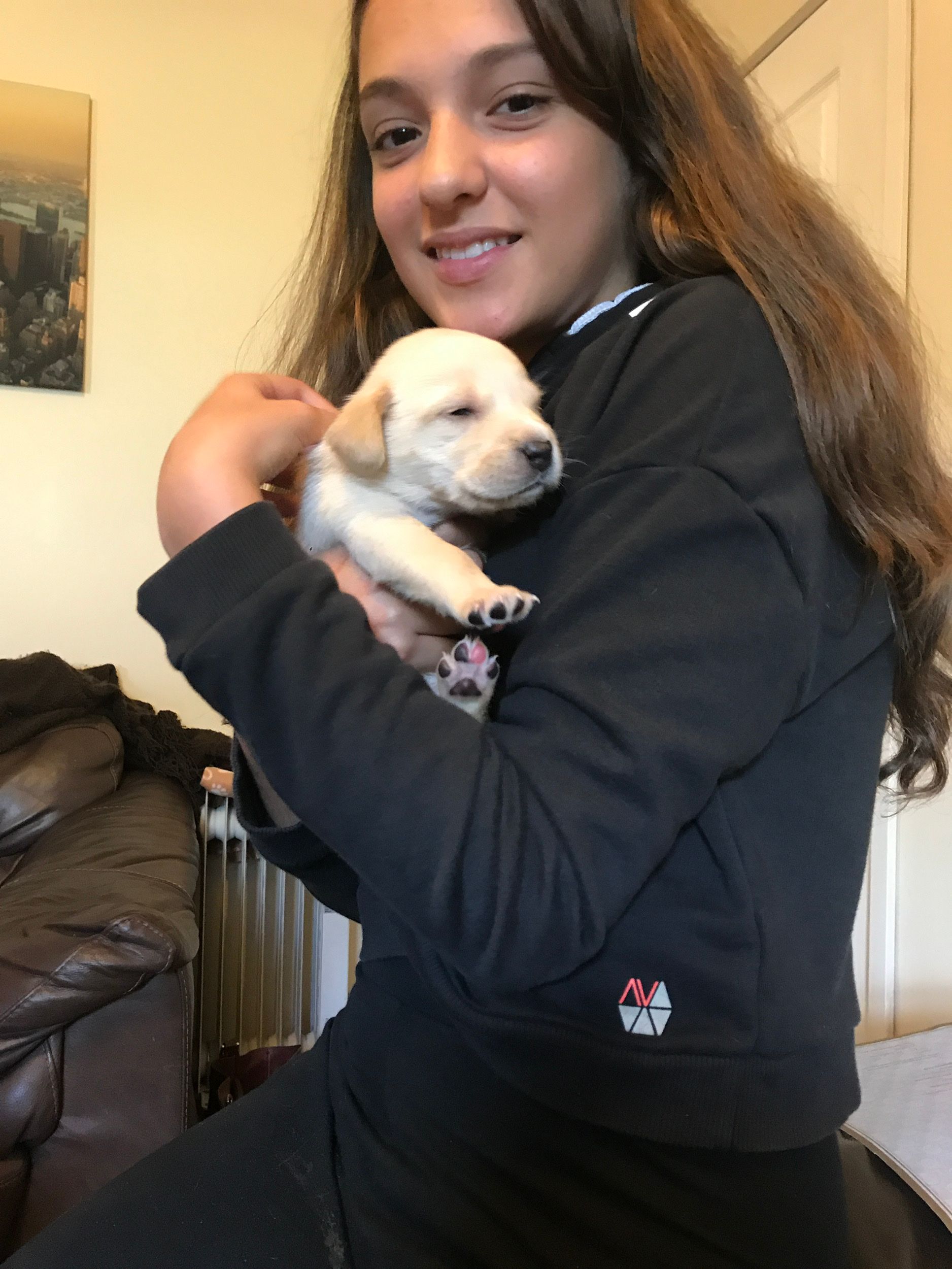image-7
