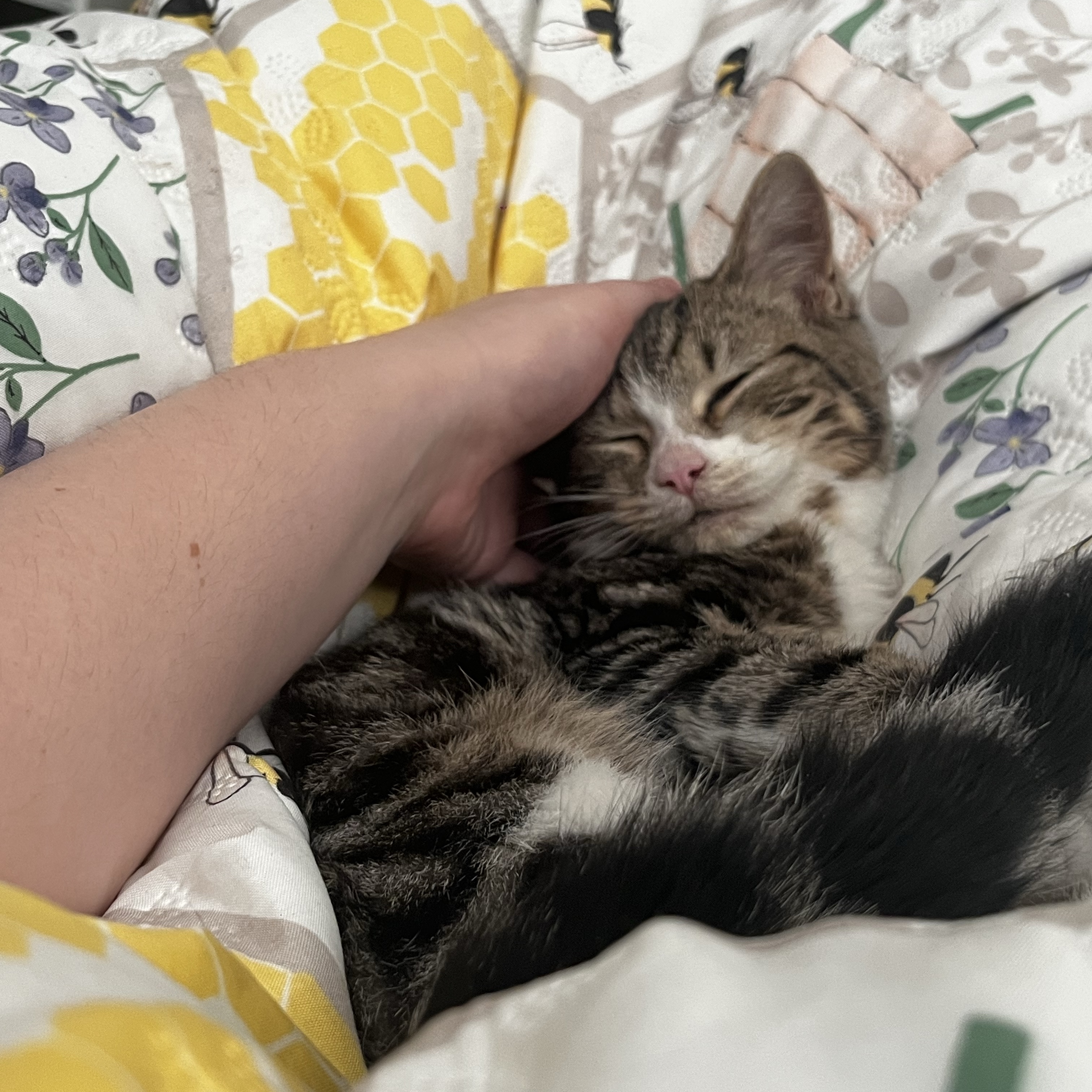 Skylar 