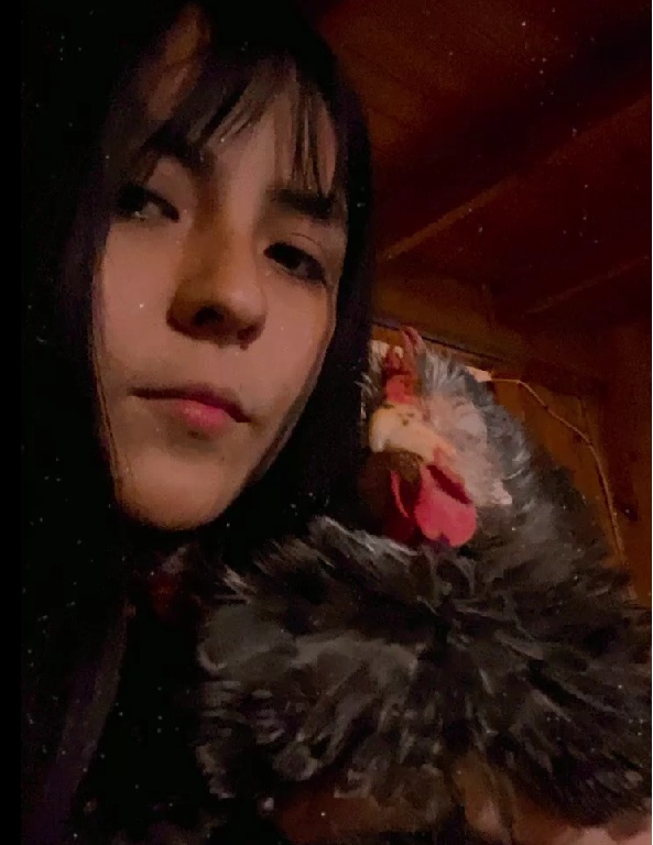 image-5
