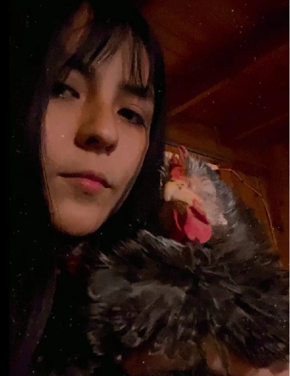 image-5