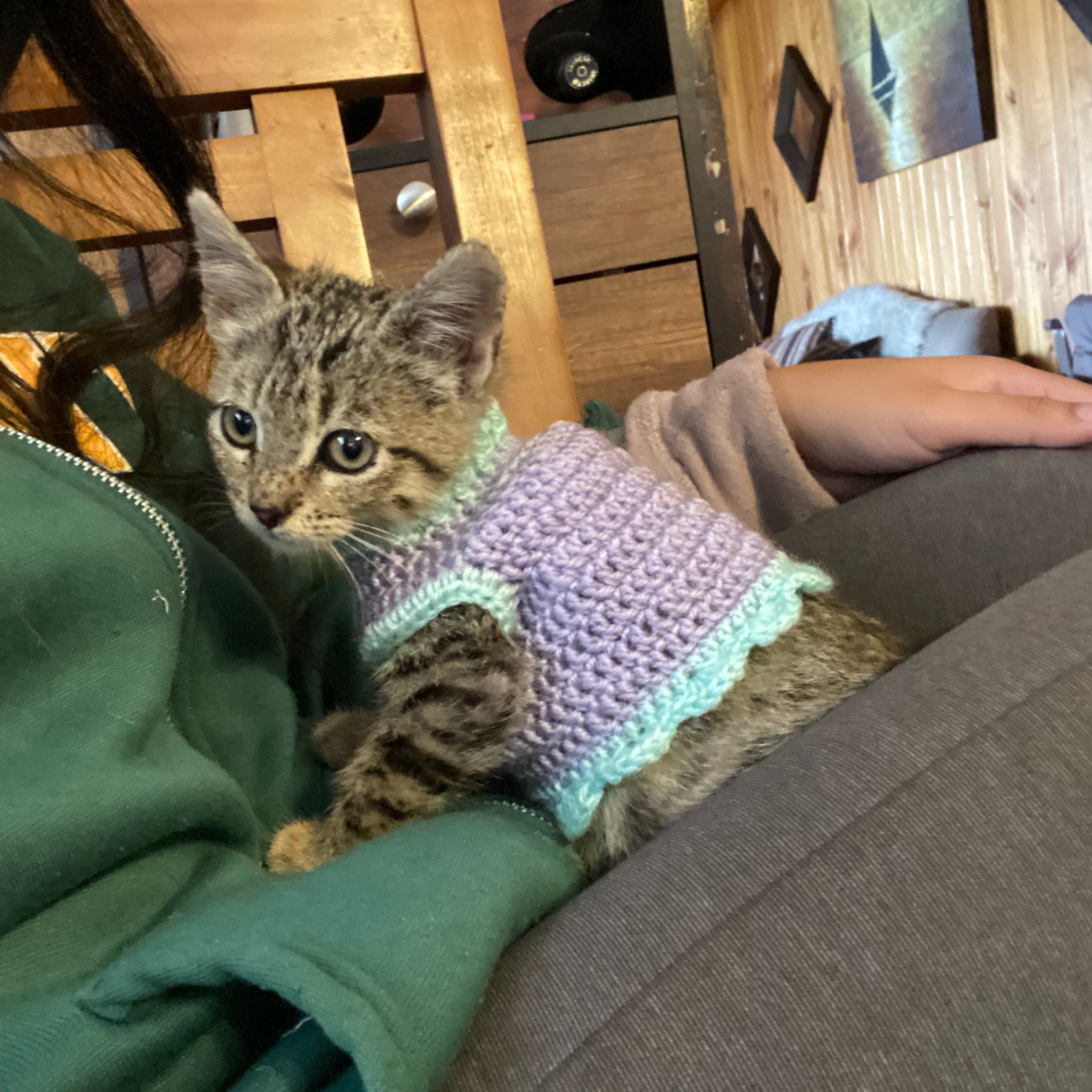 Kitty