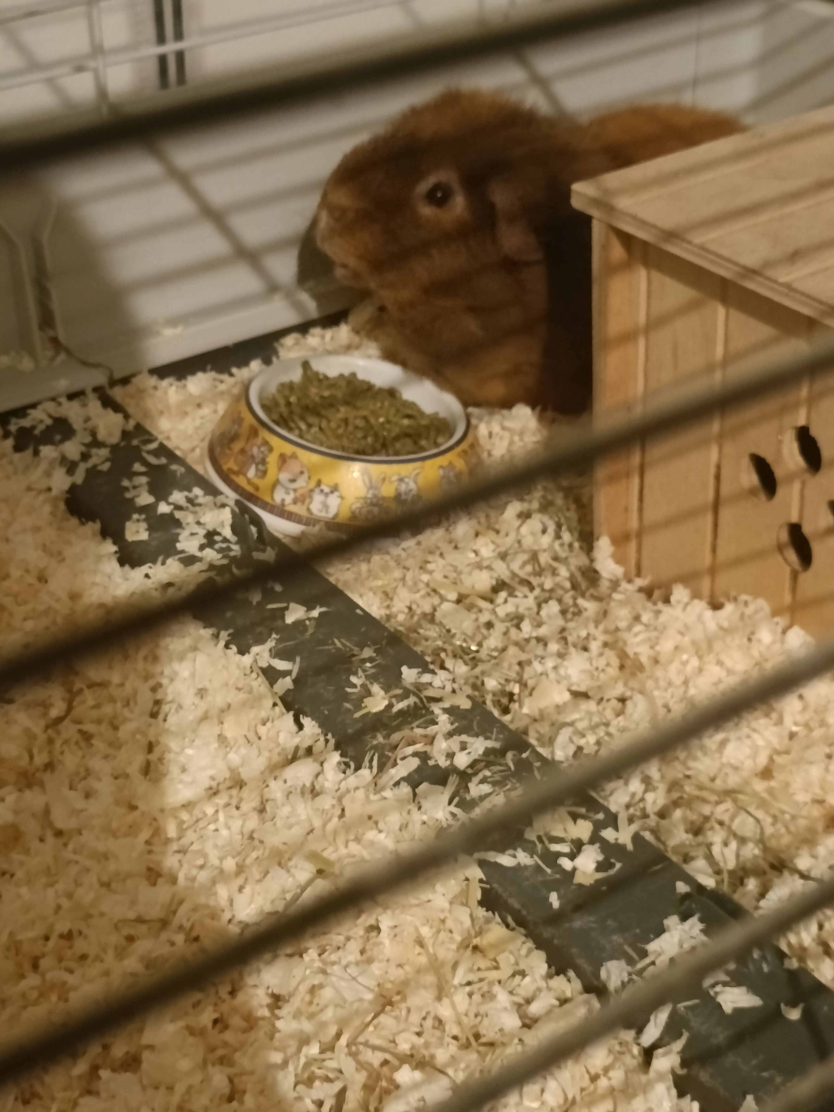 image-15