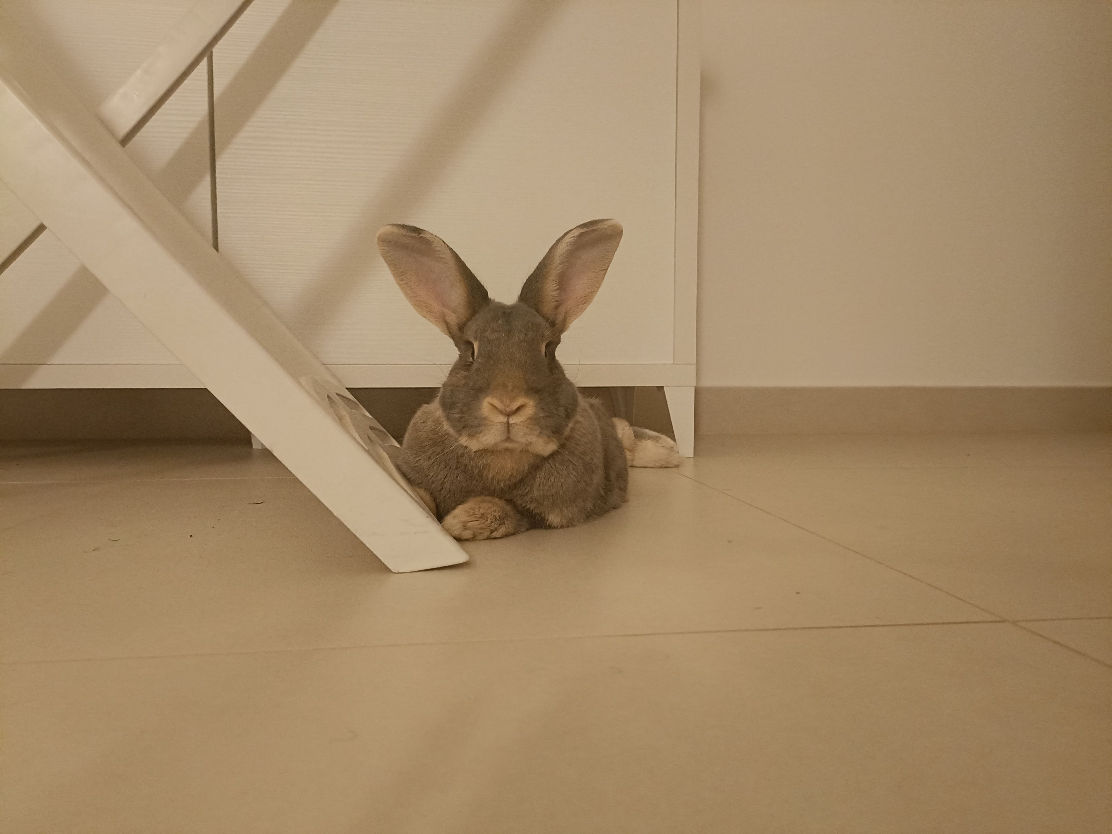 image-18