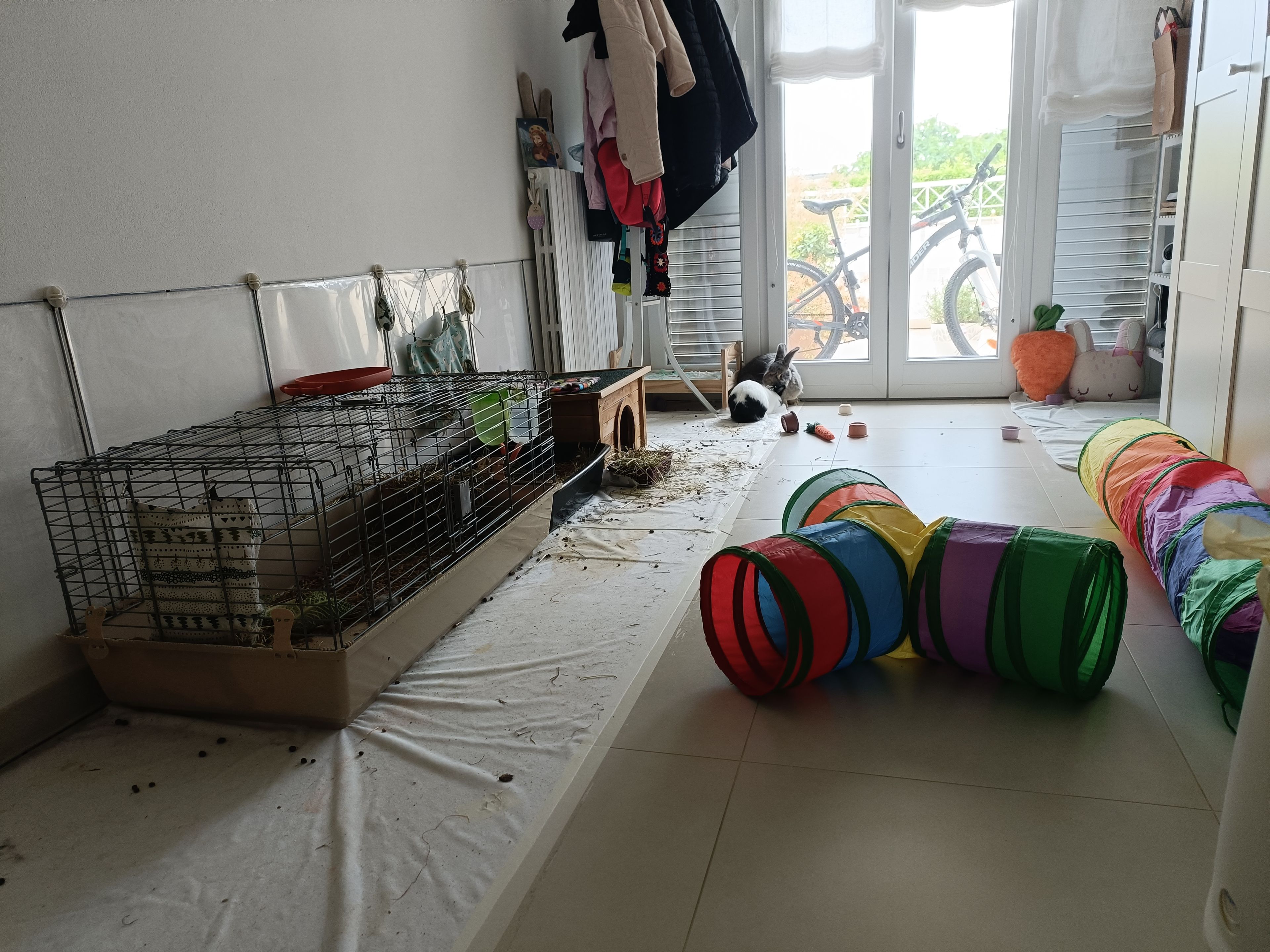 image-20