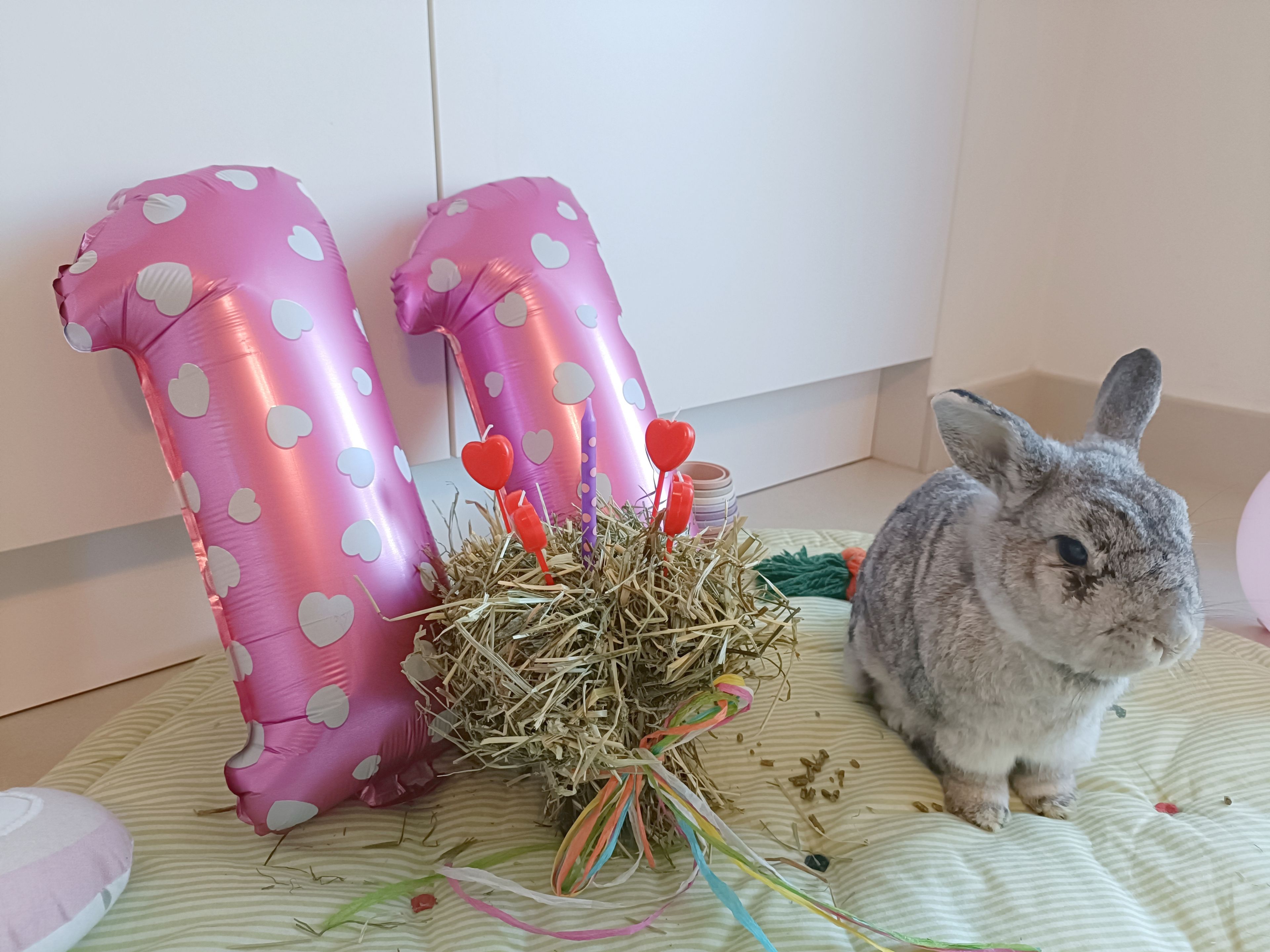 image-17
