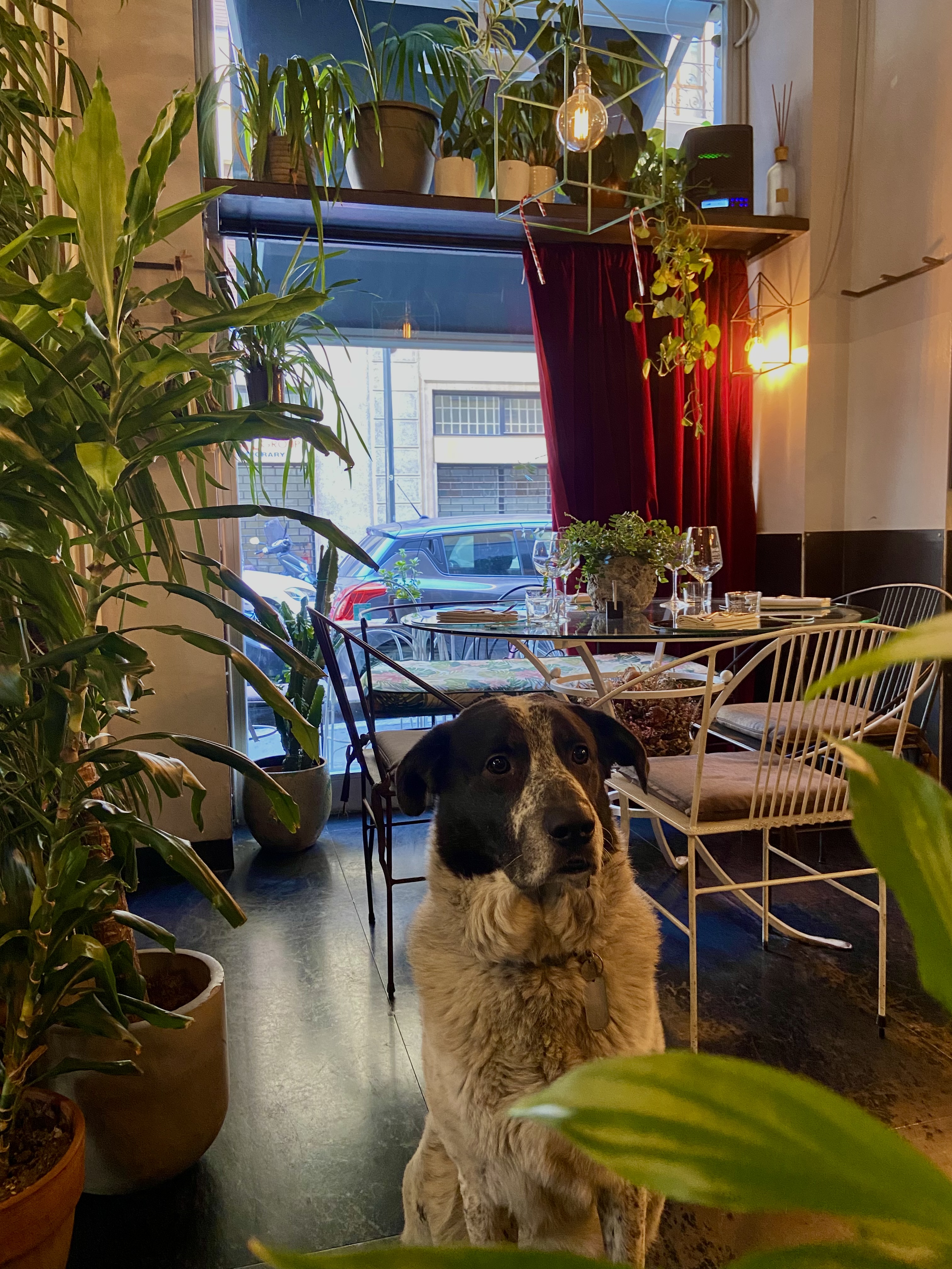 image-11