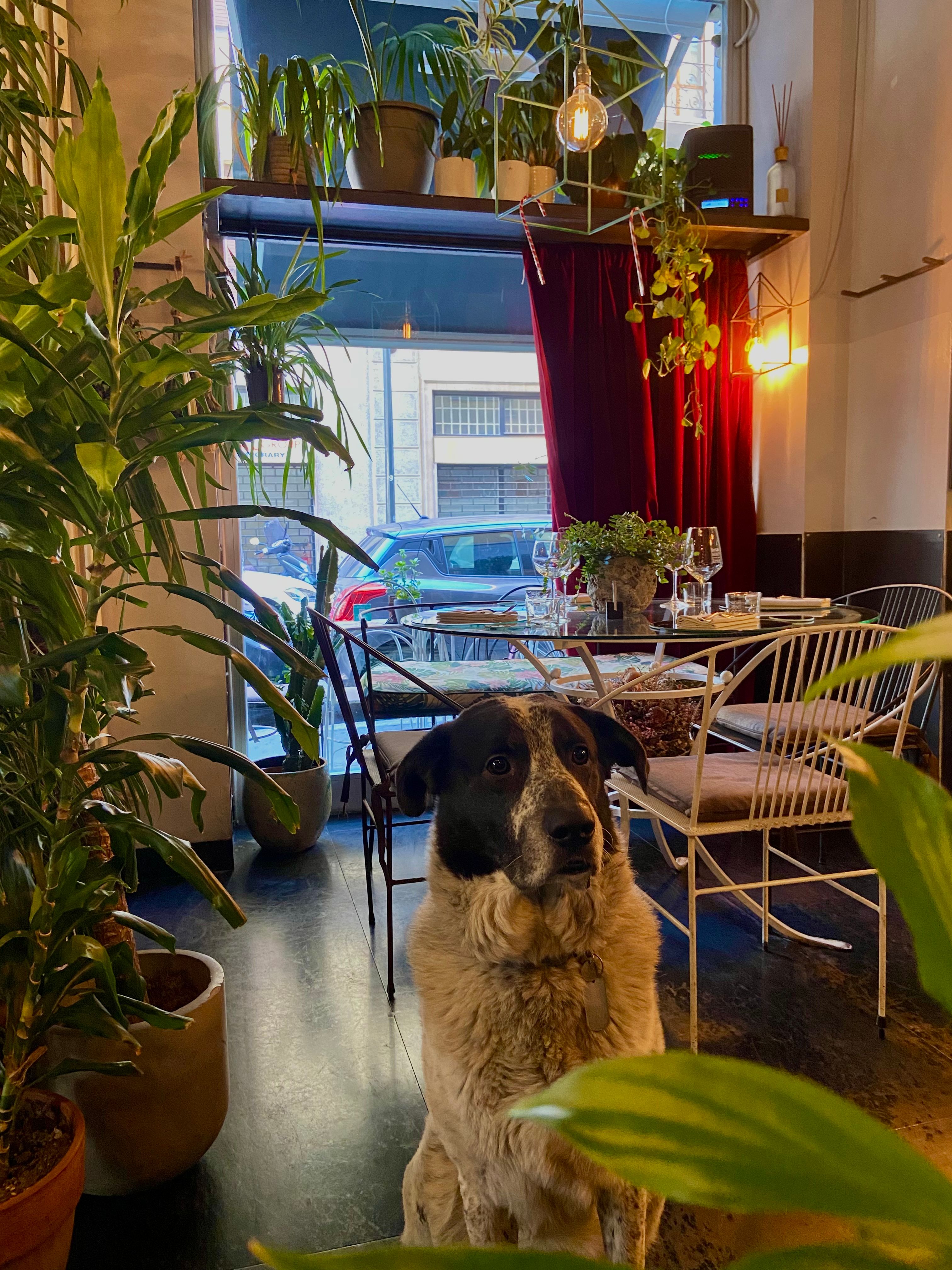 image-11