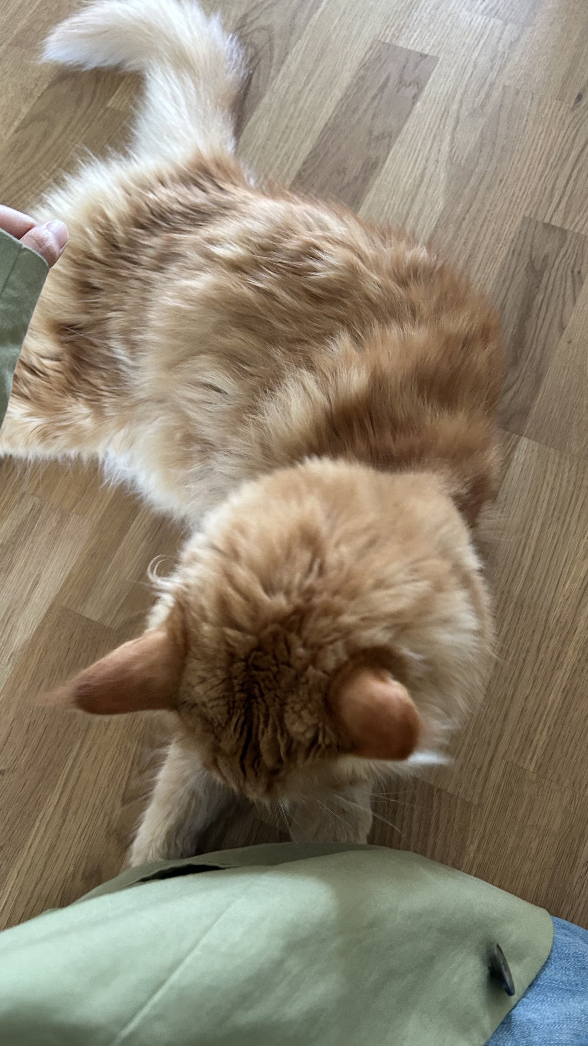 image-6