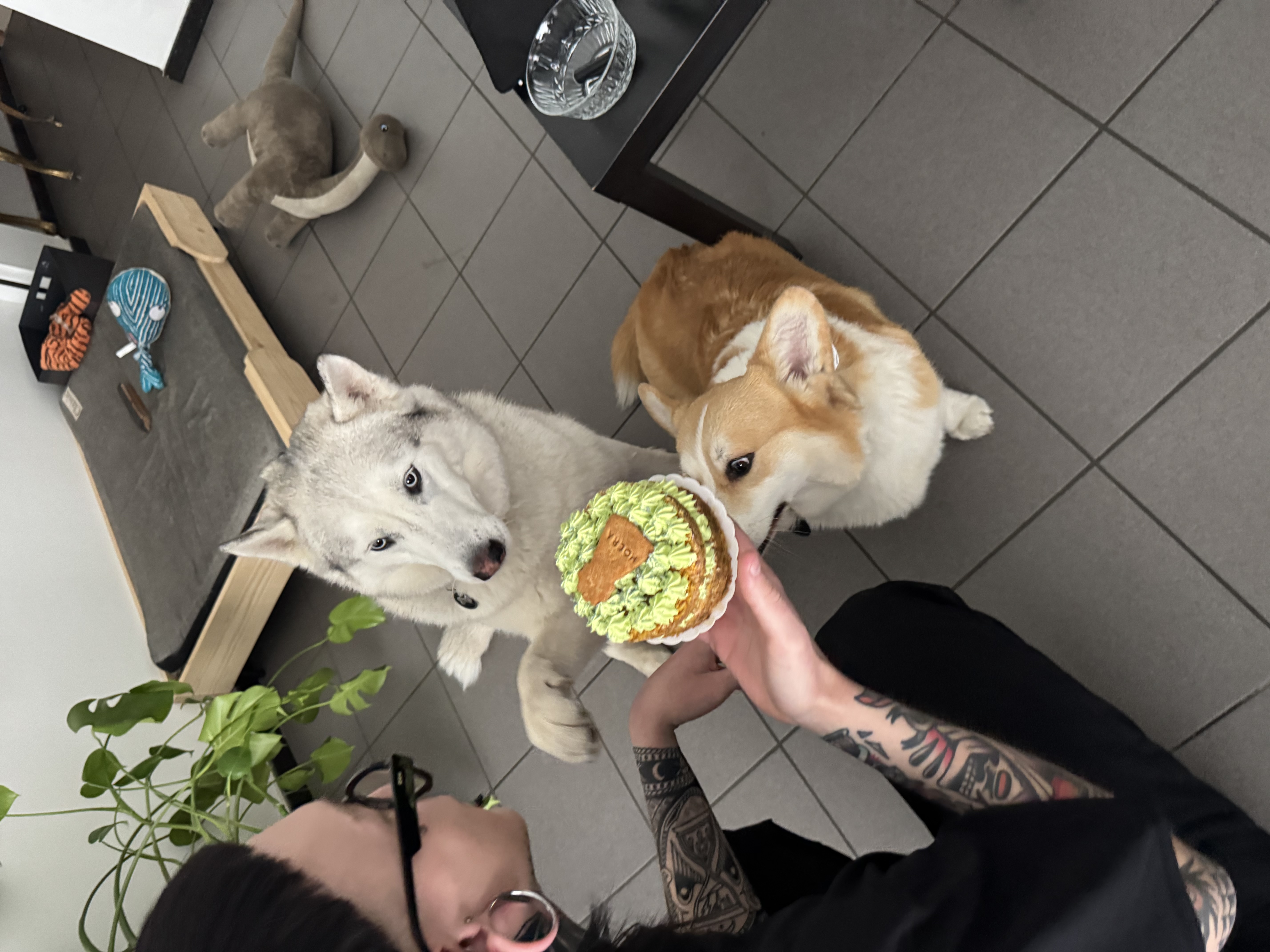 image-8