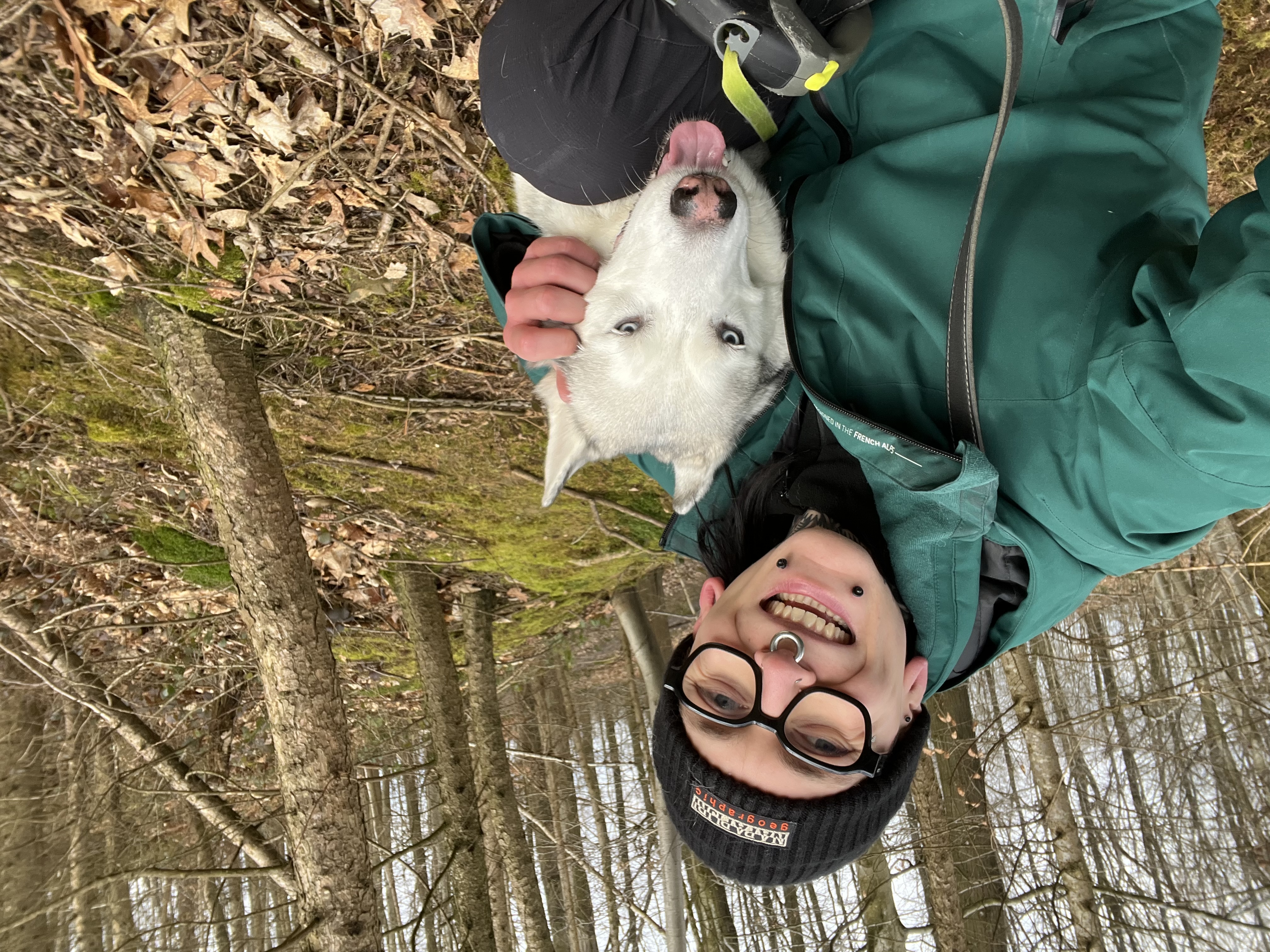 image-6