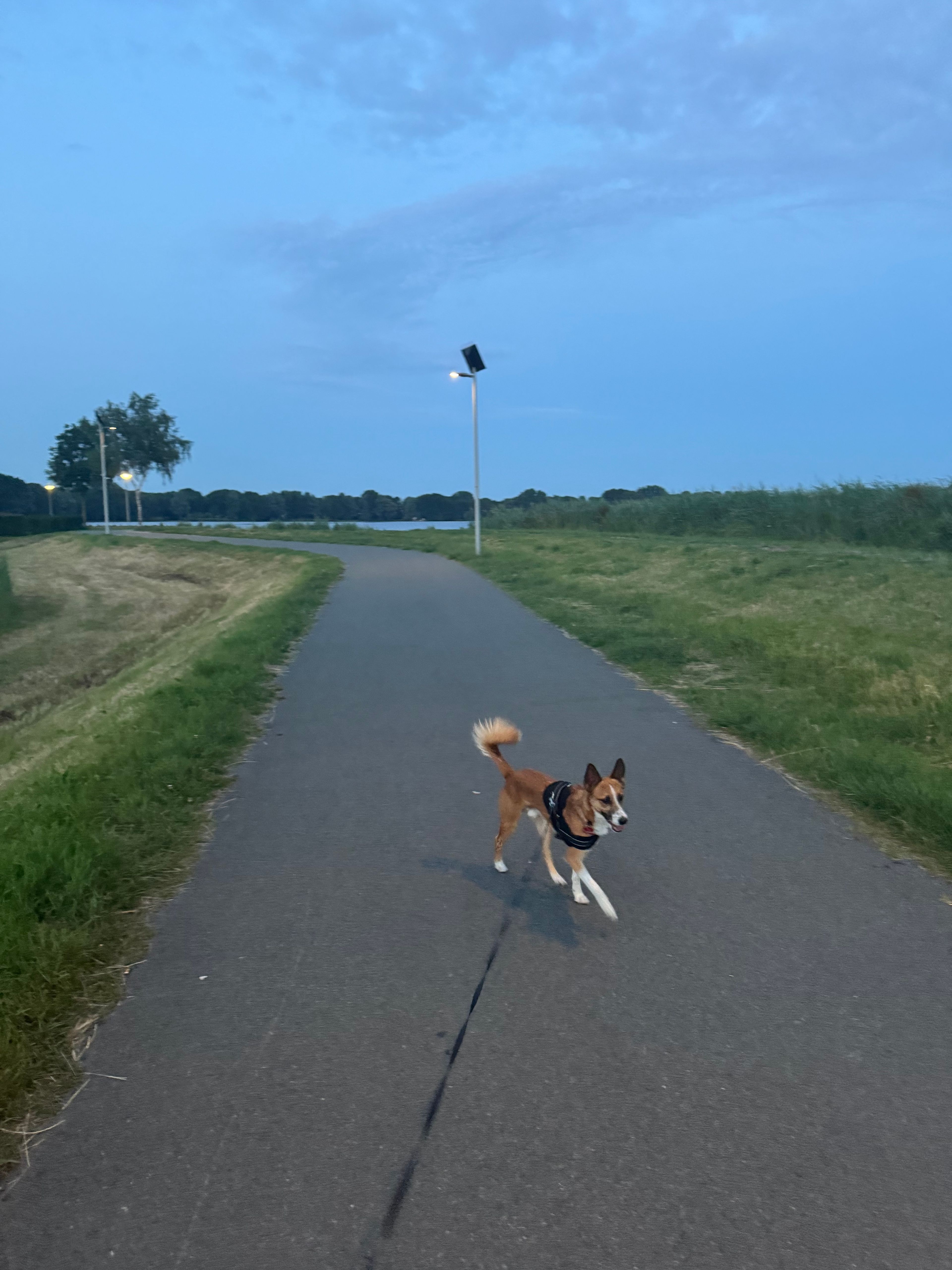 image-7