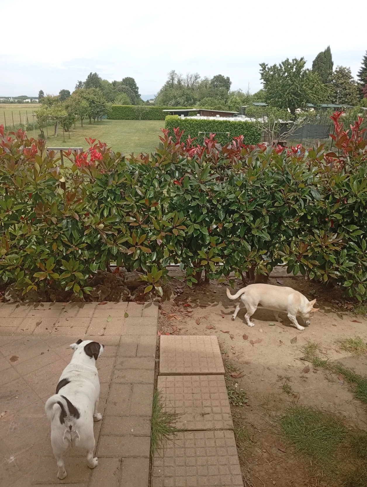 image-16
