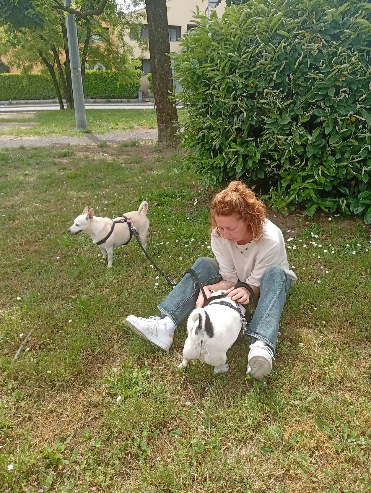 image-13