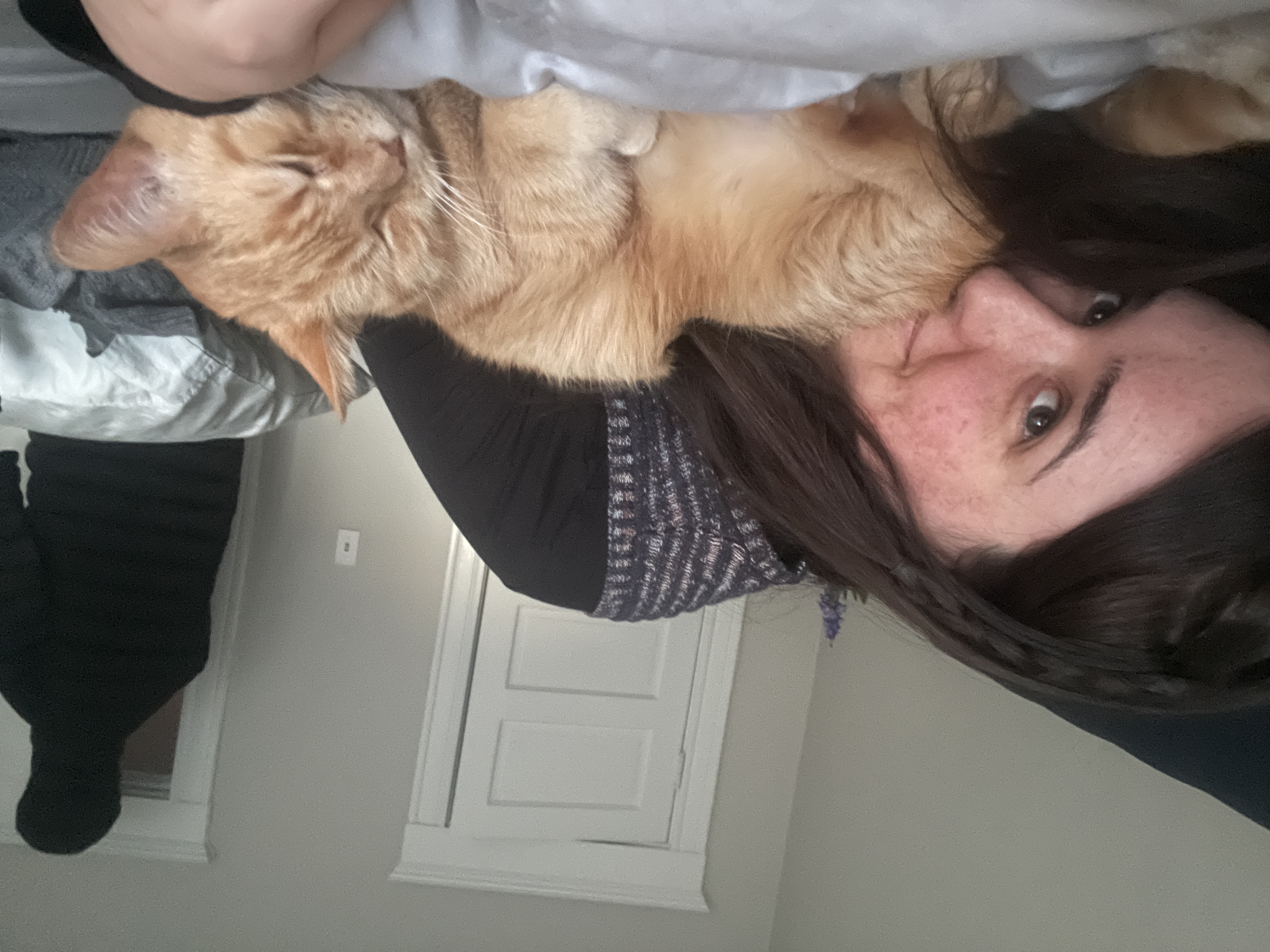 image-8