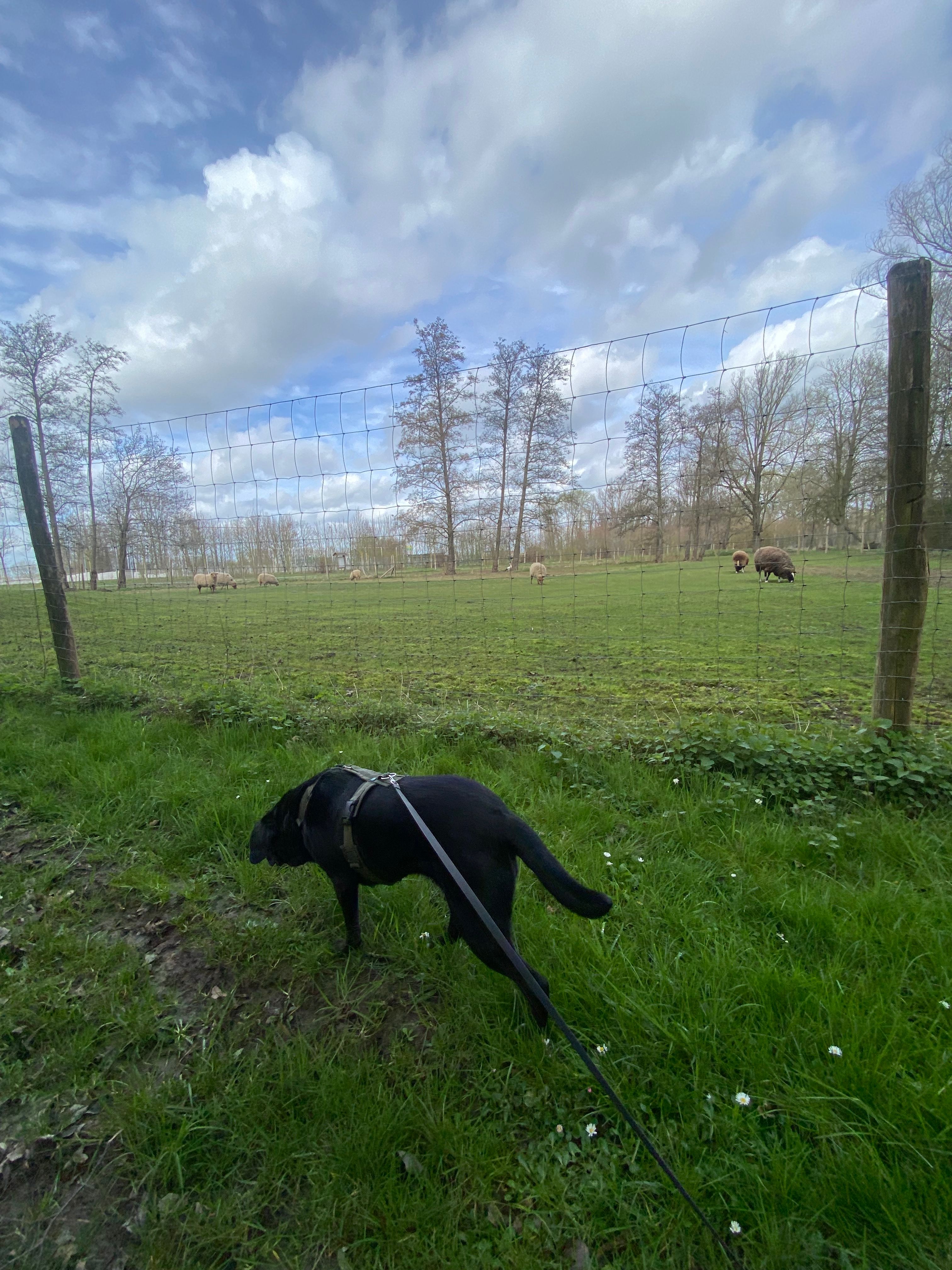 image-13