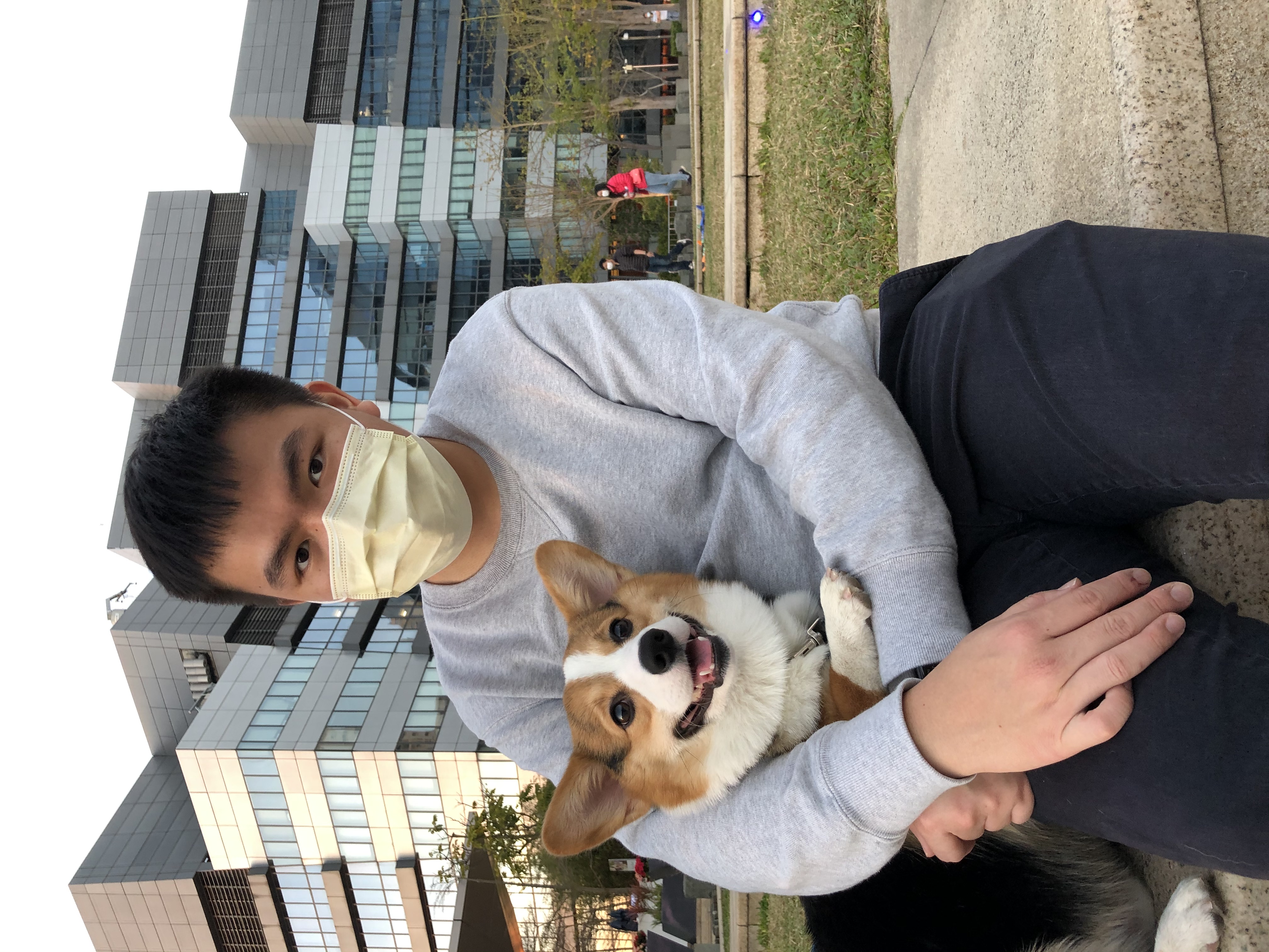 image-6