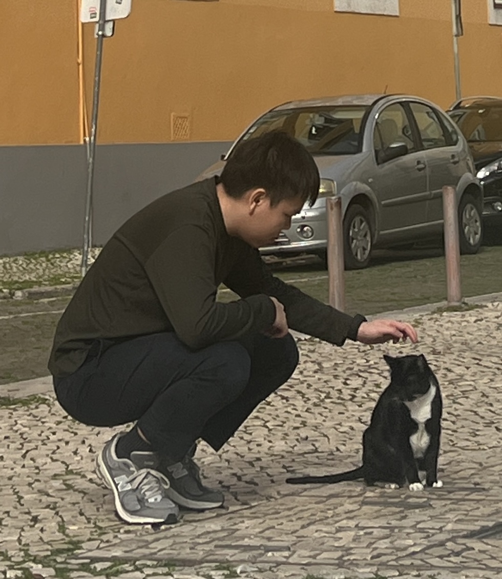 image-5