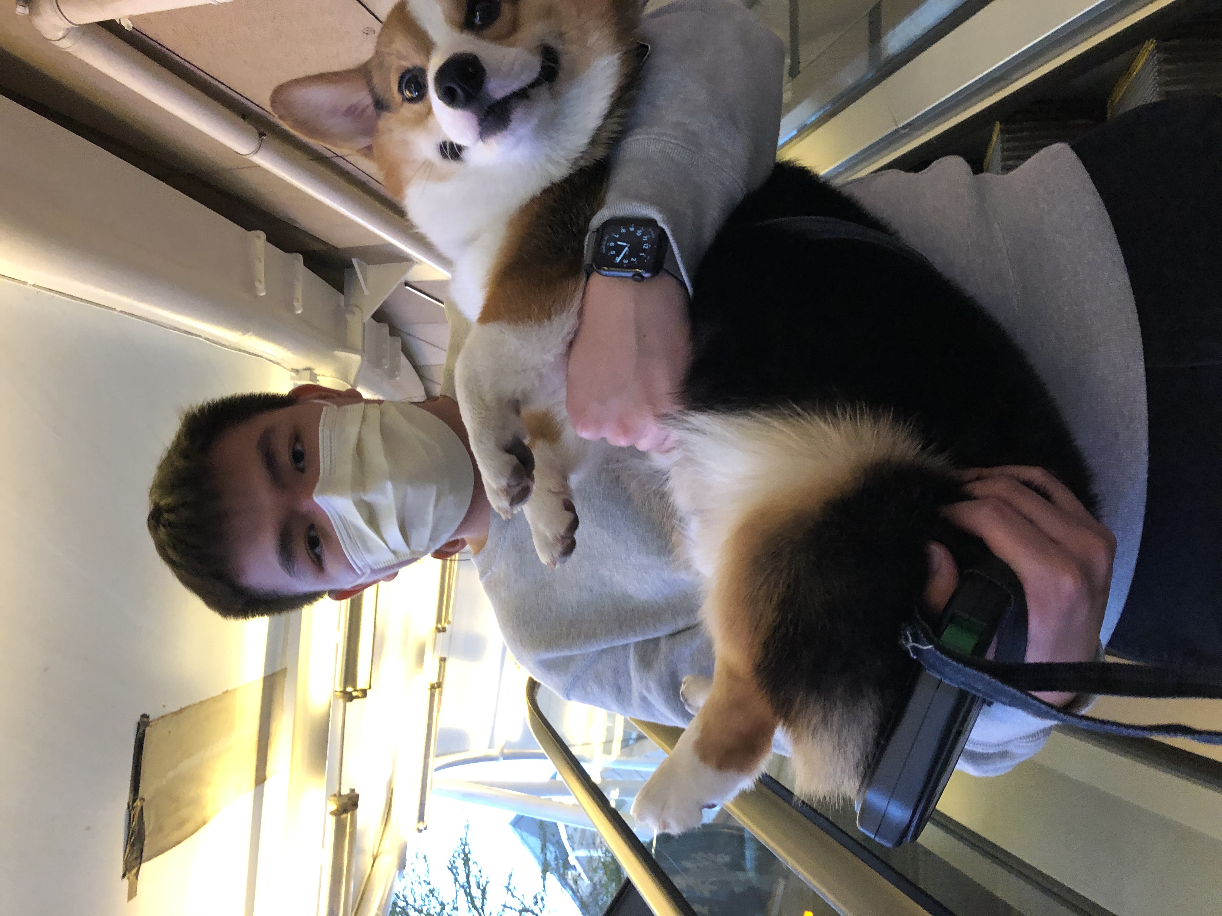 image-8