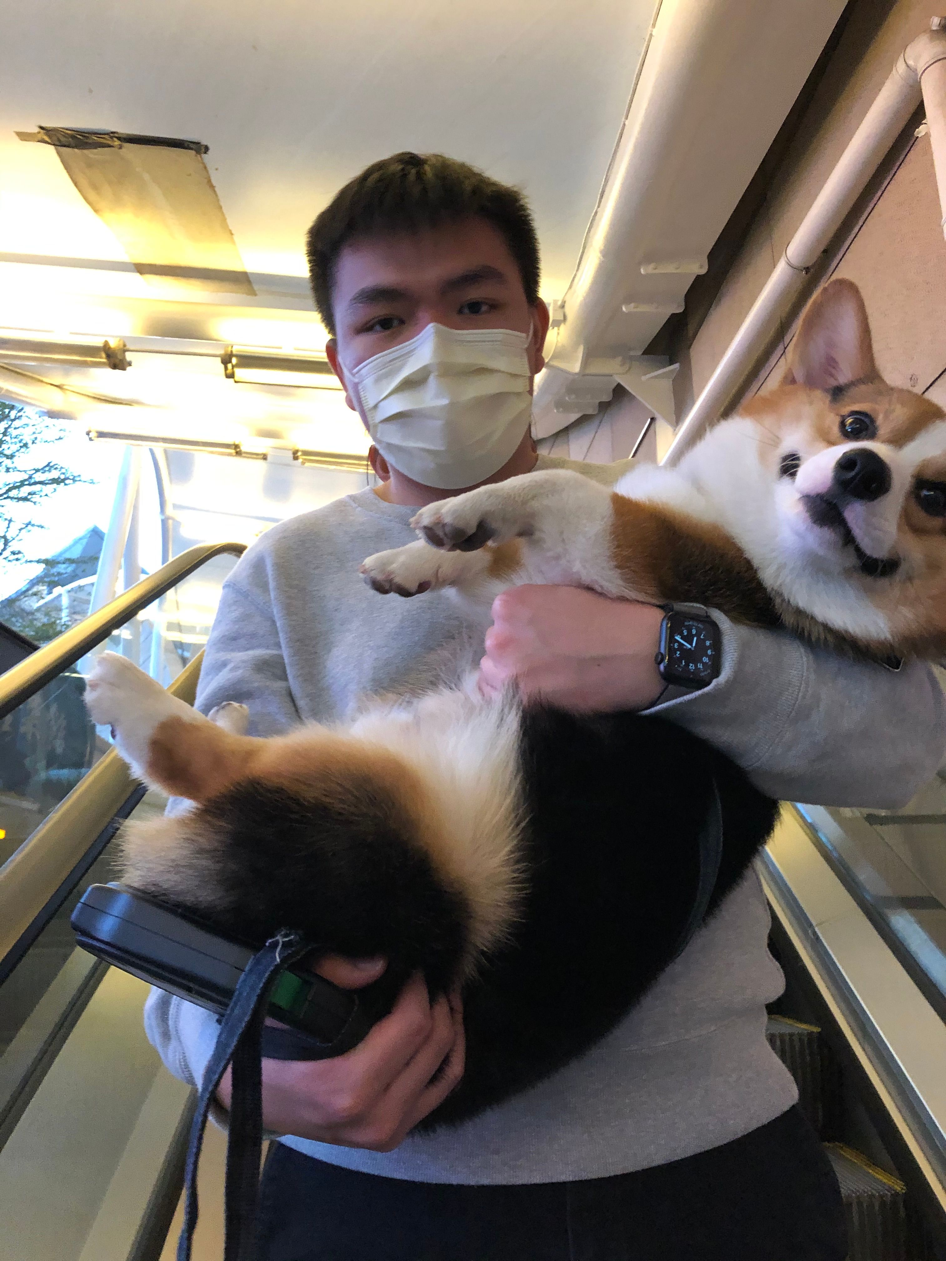 image-8