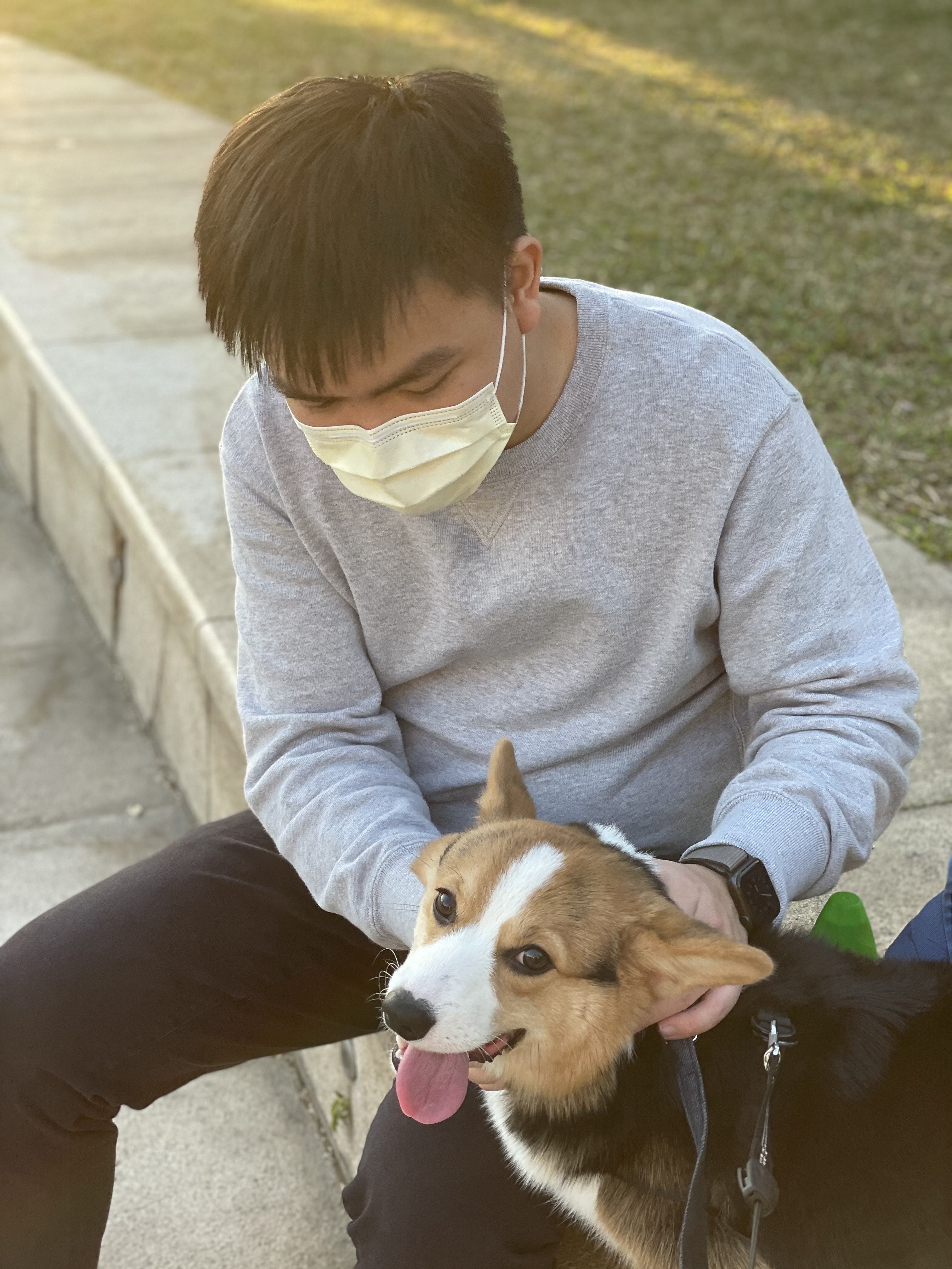 image-4