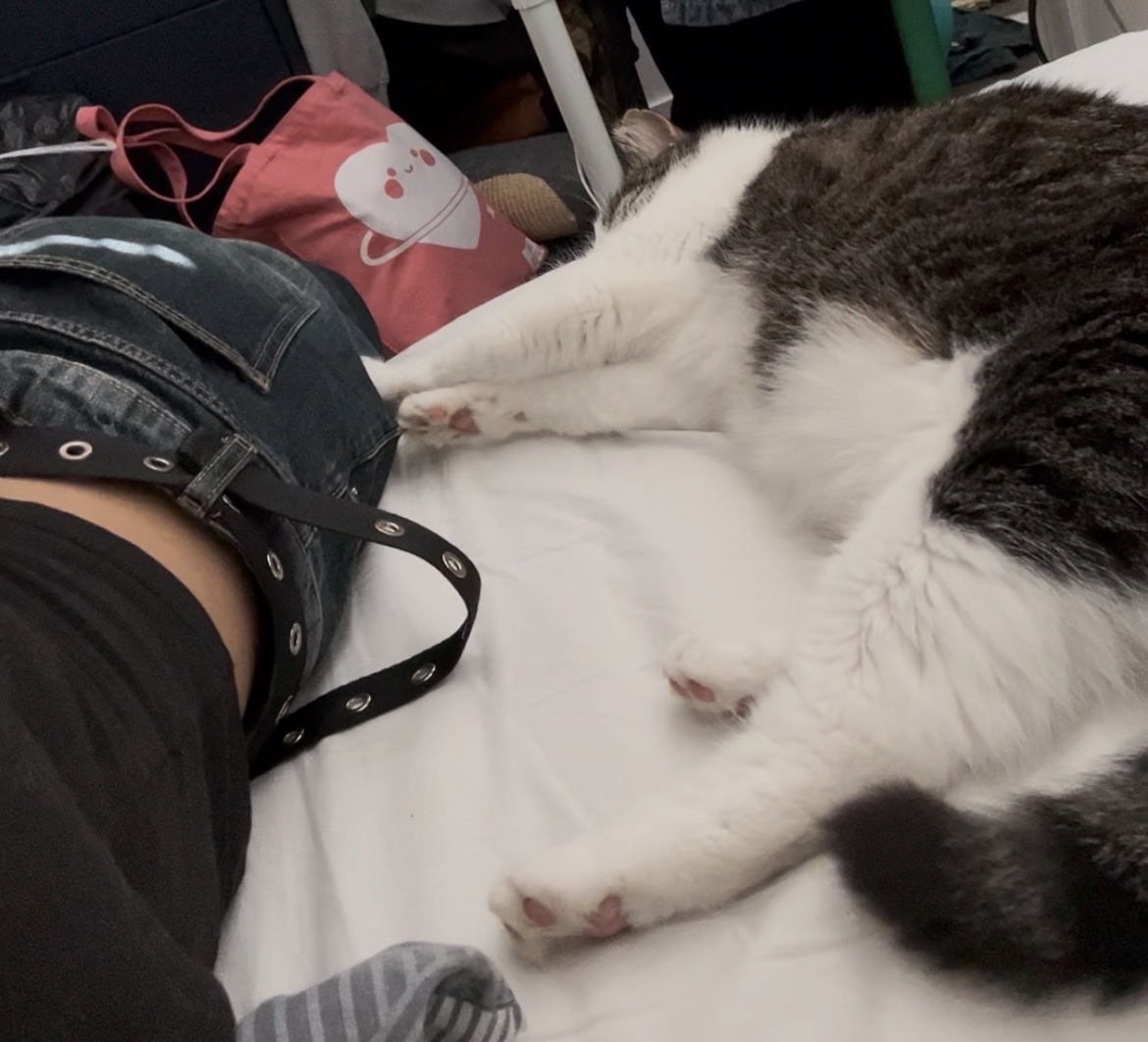 image-10