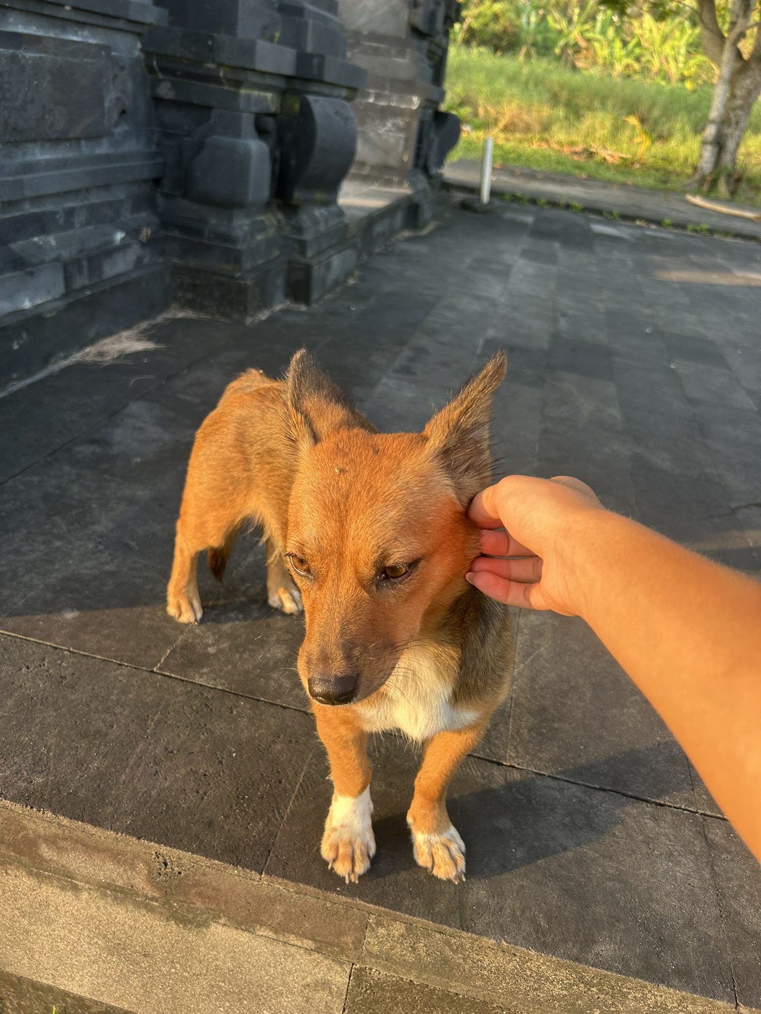 image-6