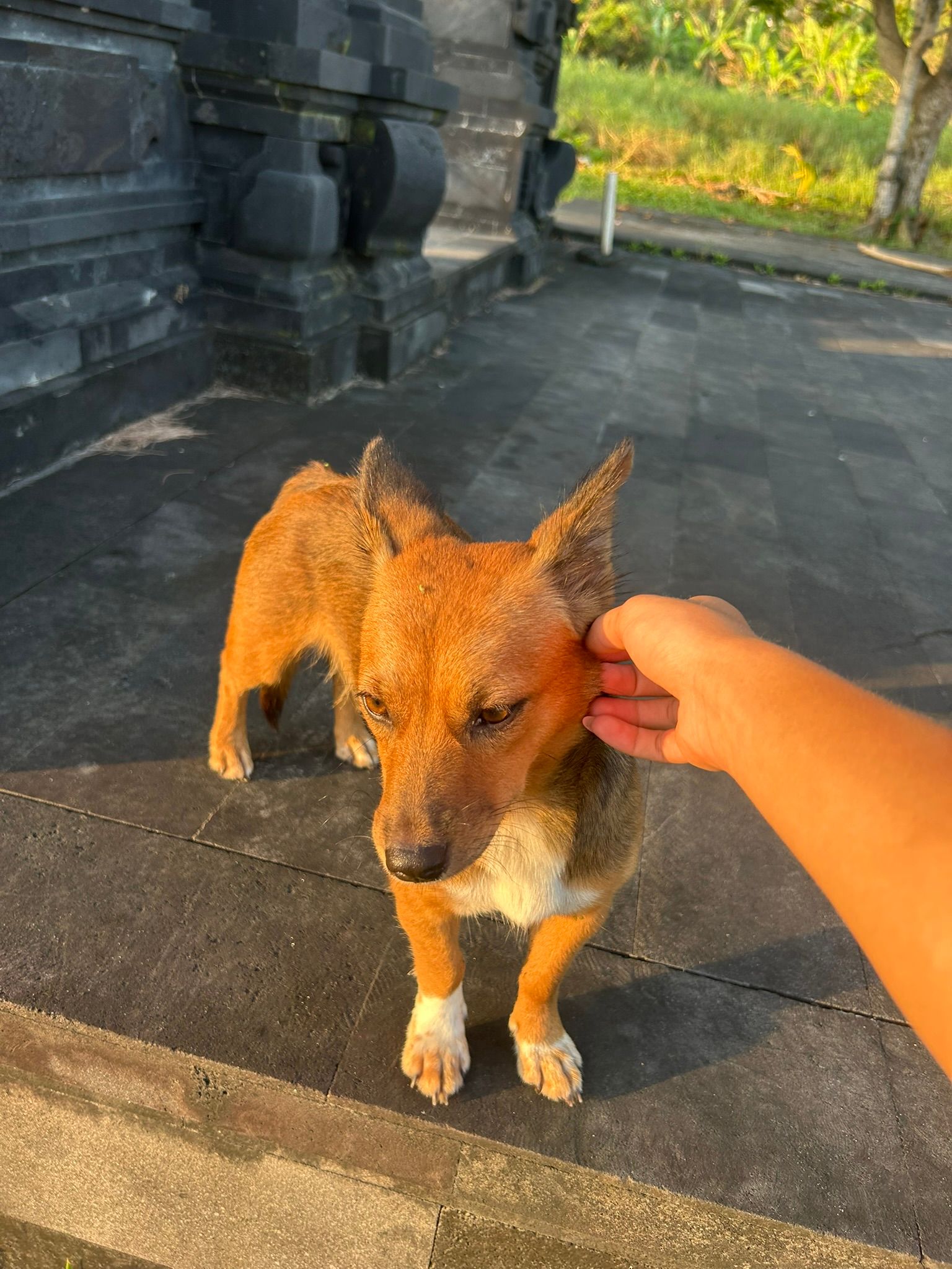 image-6