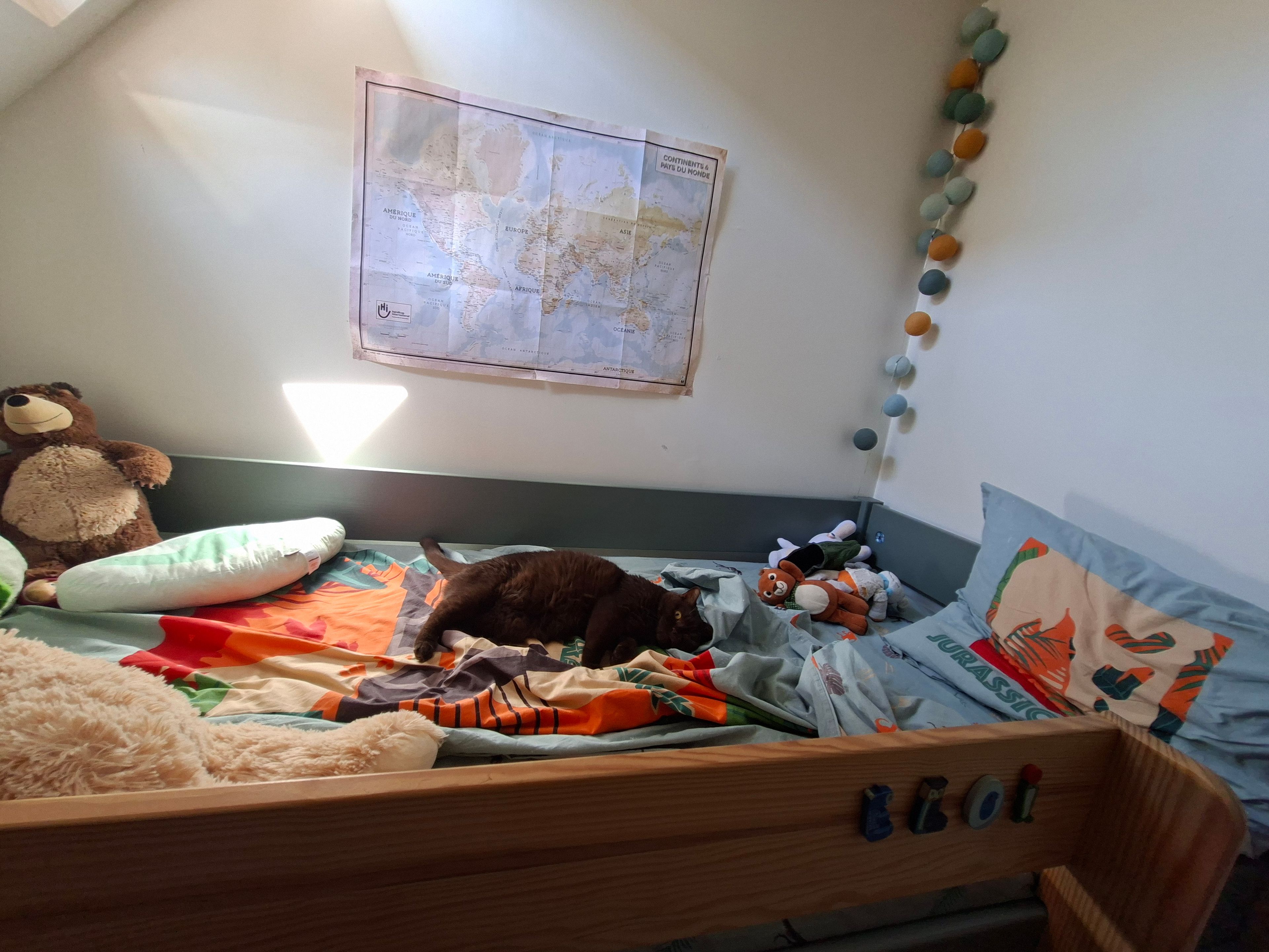 image-6