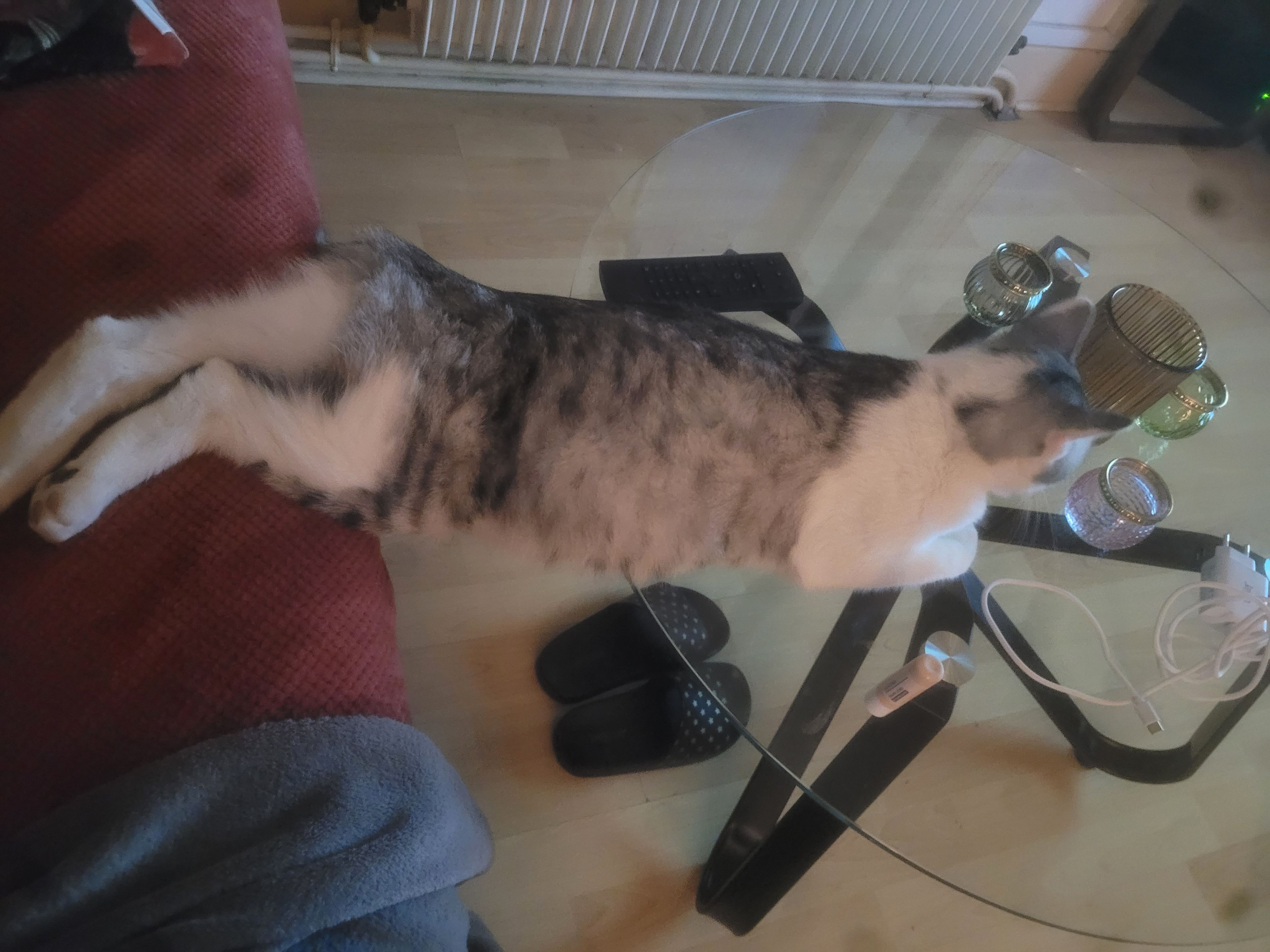 image-10