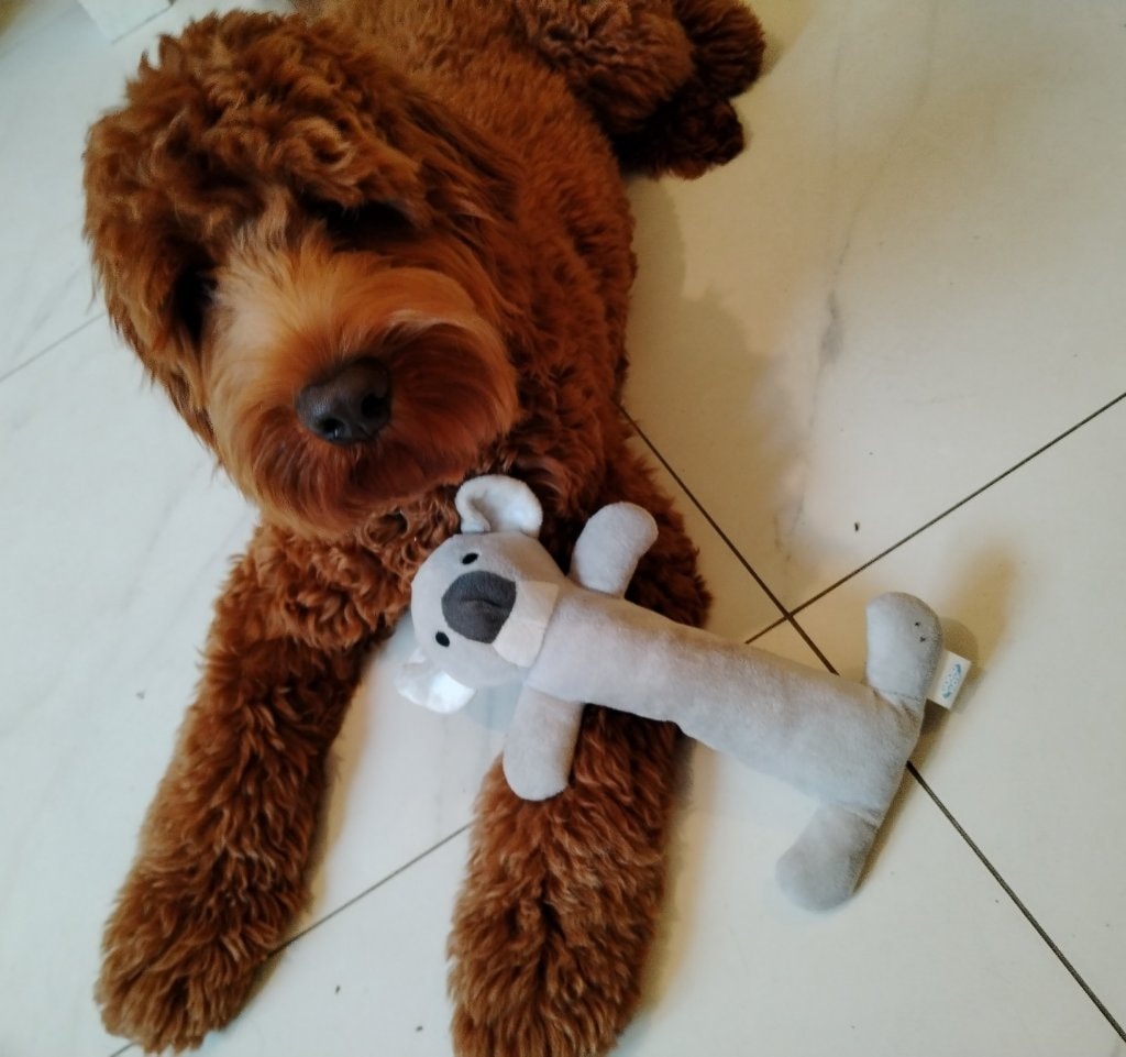 image-6