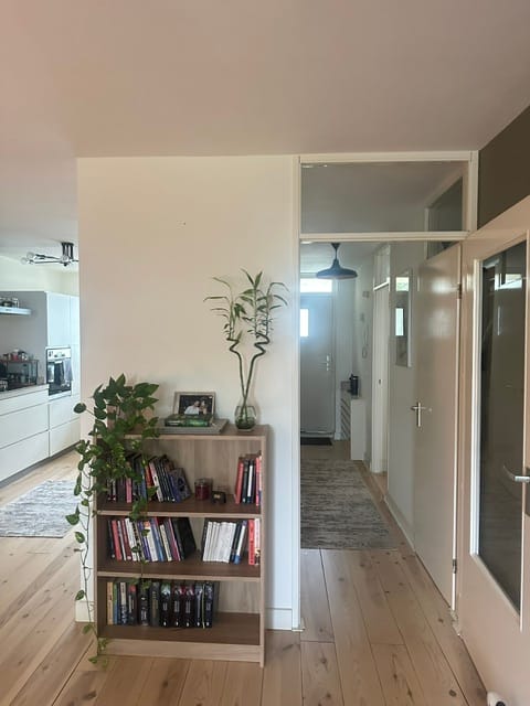 image-19