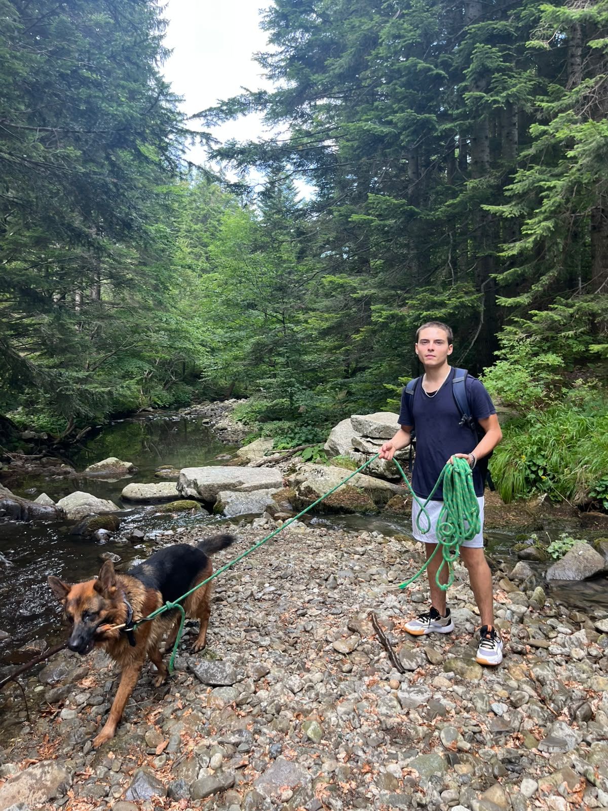 image-8