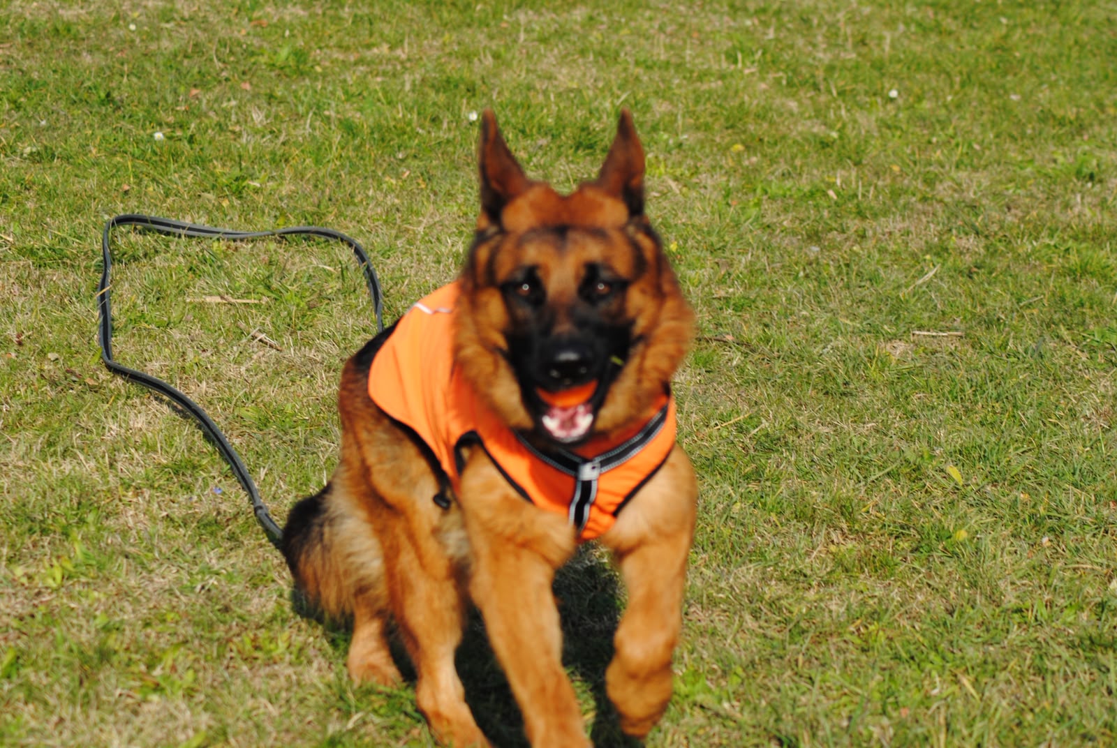 image-7