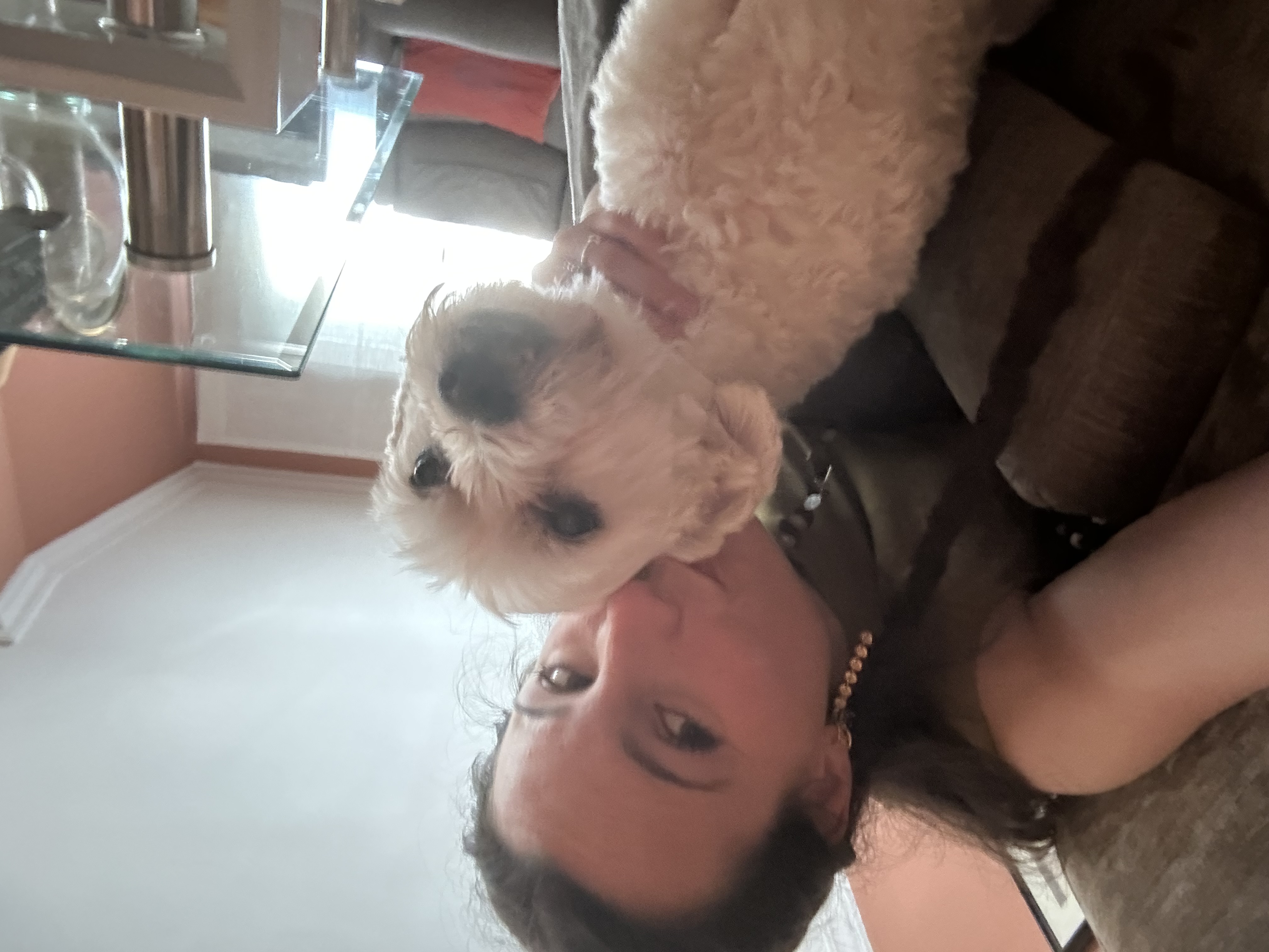 image-2