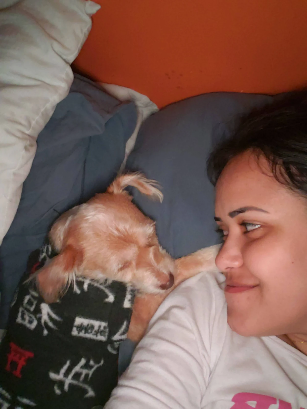image-8