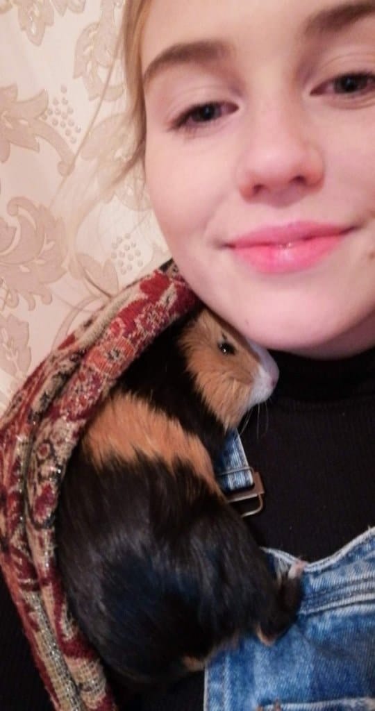 image-1