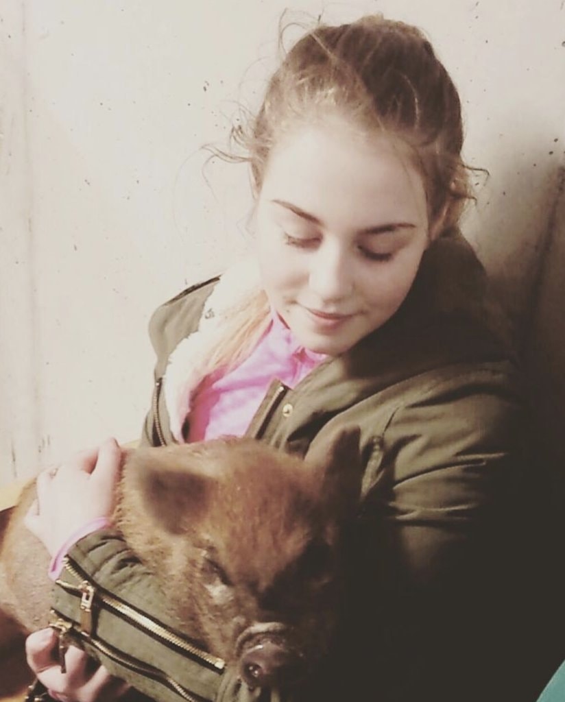 image-6