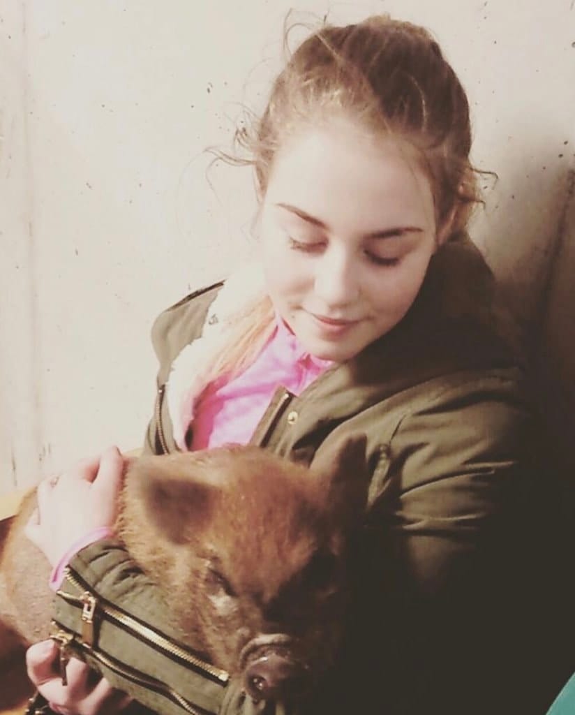 image-6