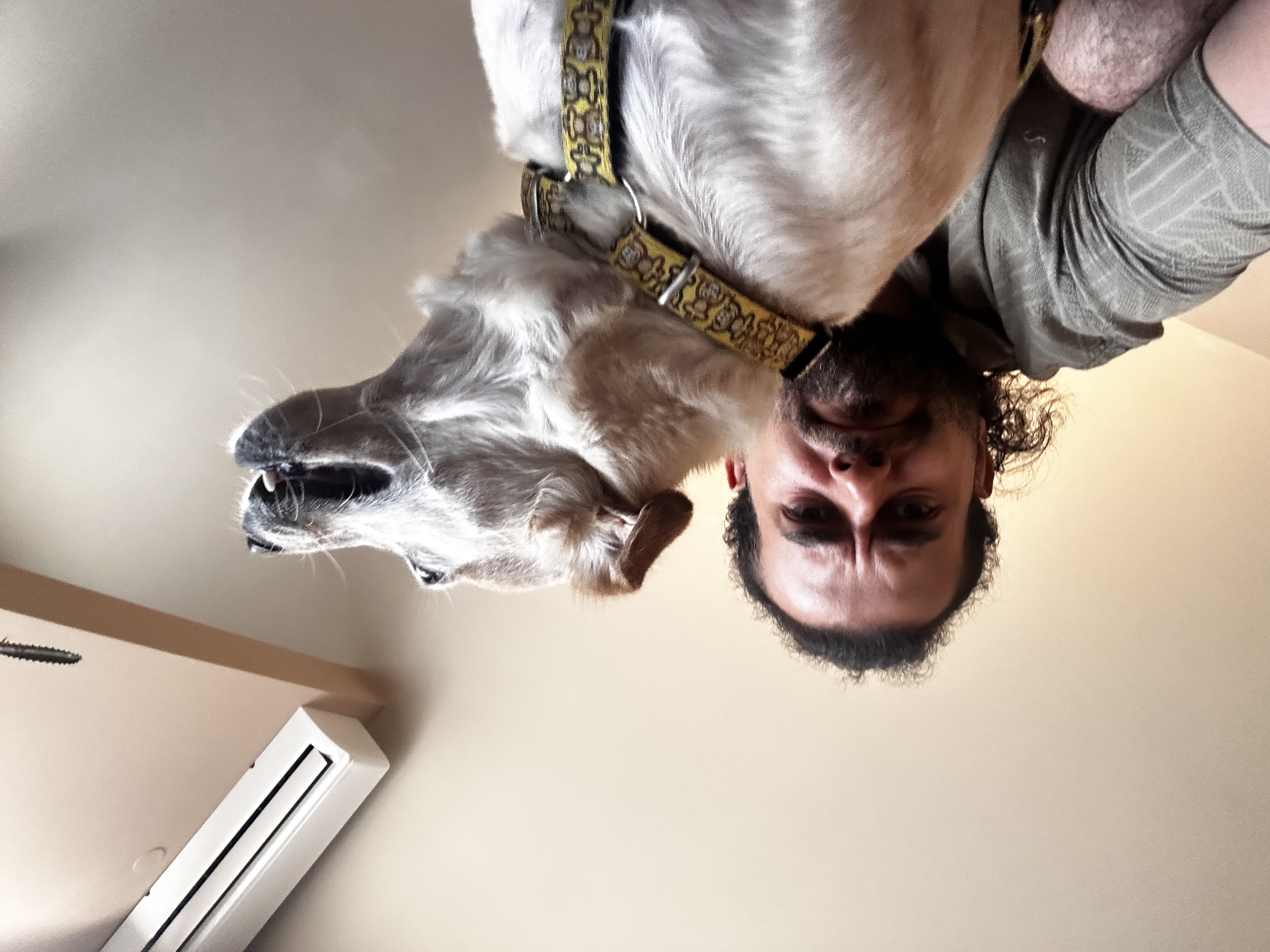 image-10