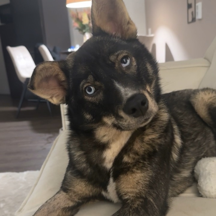 Nora