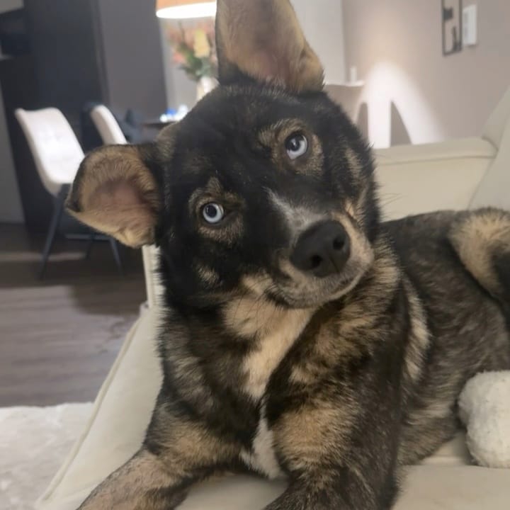 Nora