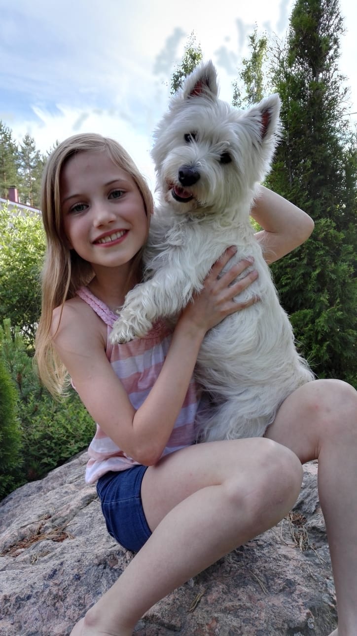 image-8